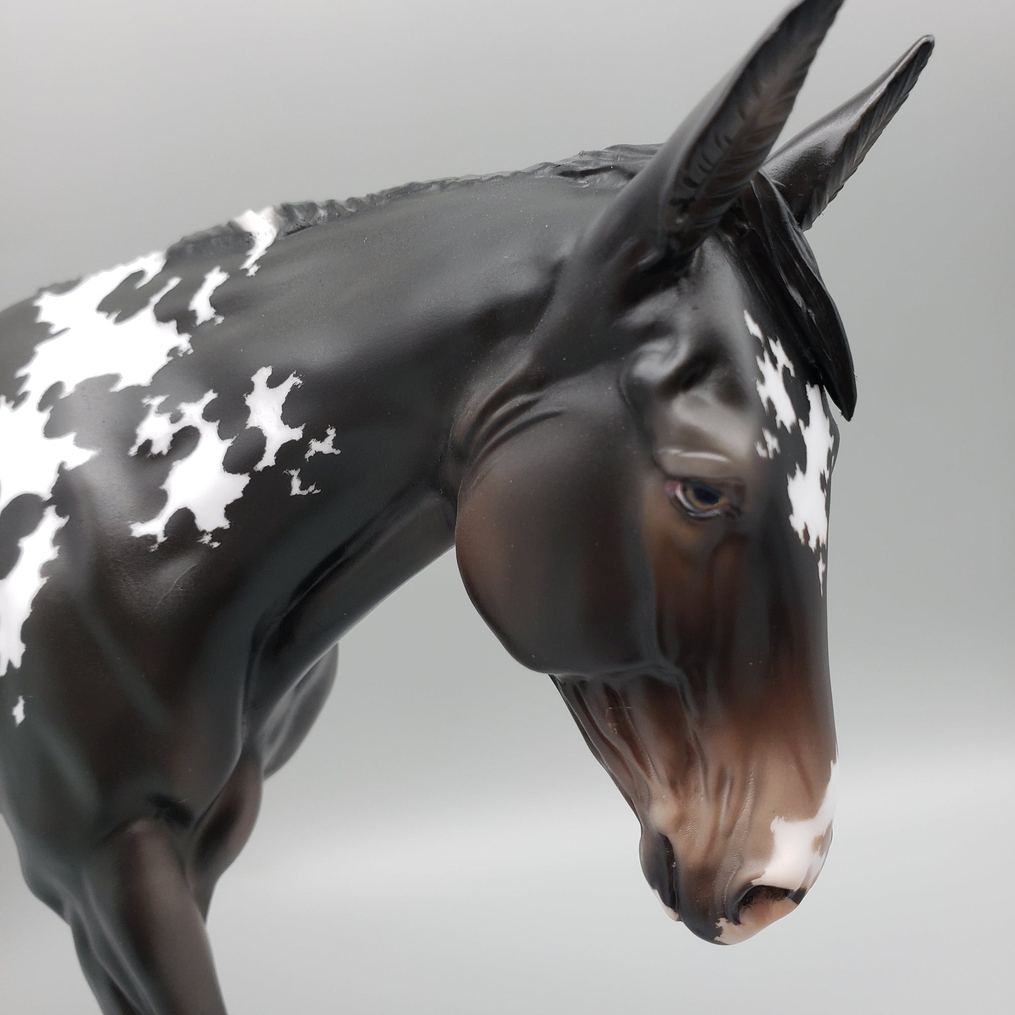 Diadem OOAK Black Appaloosa Mule by Jess Hamill AoTH23 Best Offers