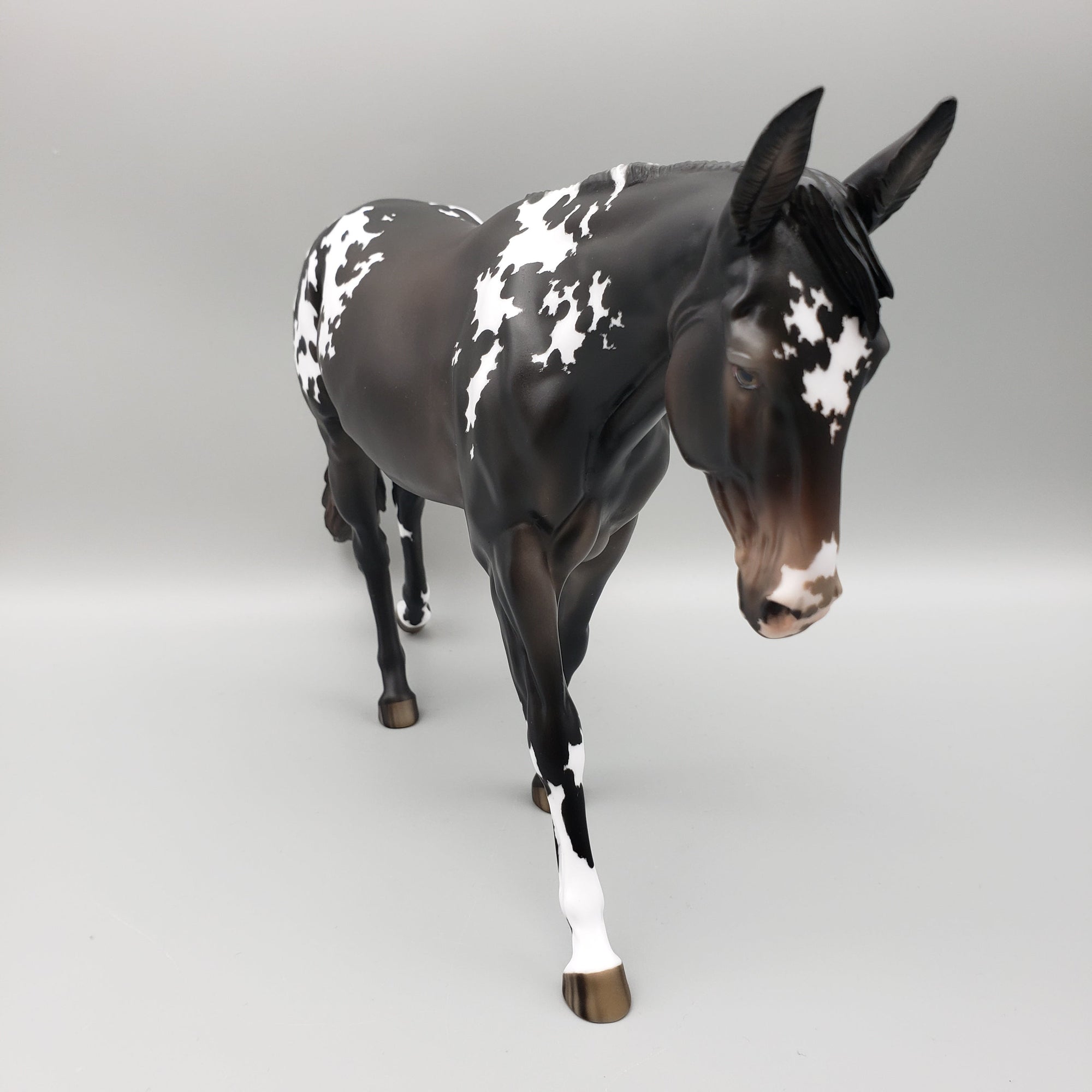 Diadem OOAK Black Appaloosa Mule by Jess Hamill AoTH23 Best Offers