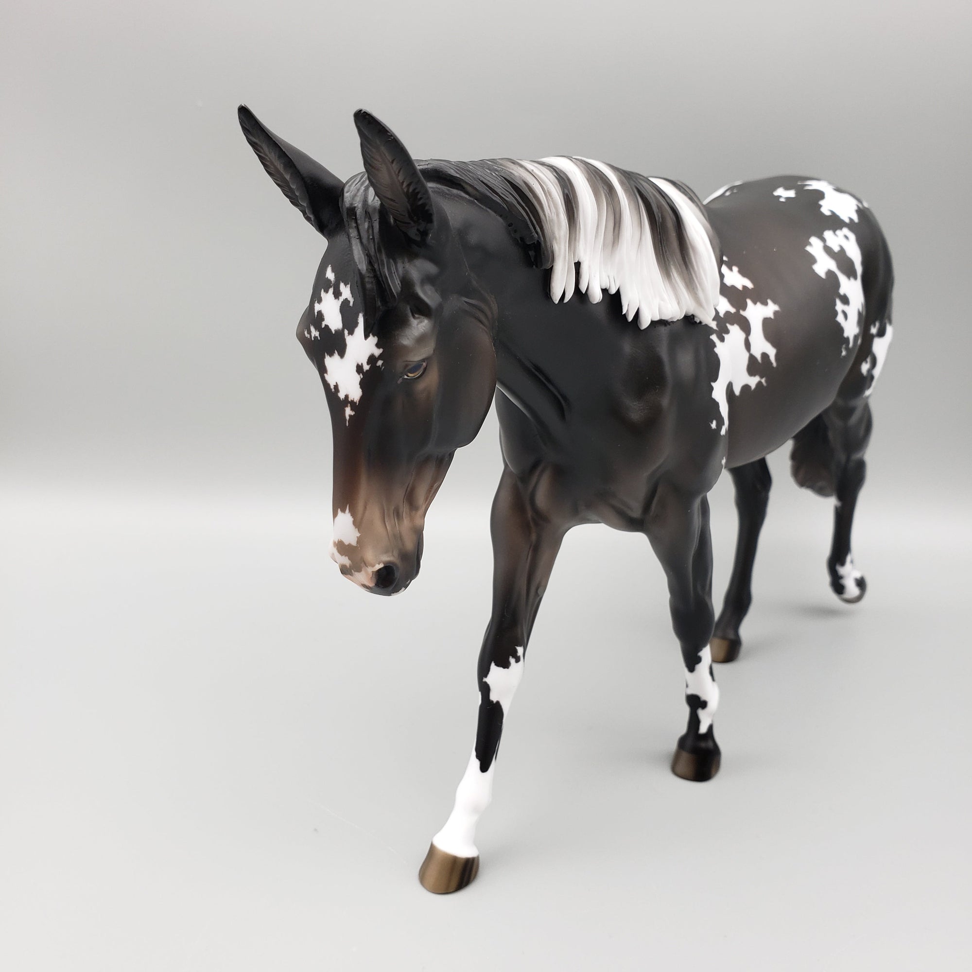 Diadem OOAK Black Appaloosa Mule by Jess Hamill AoTH23 Best Offers