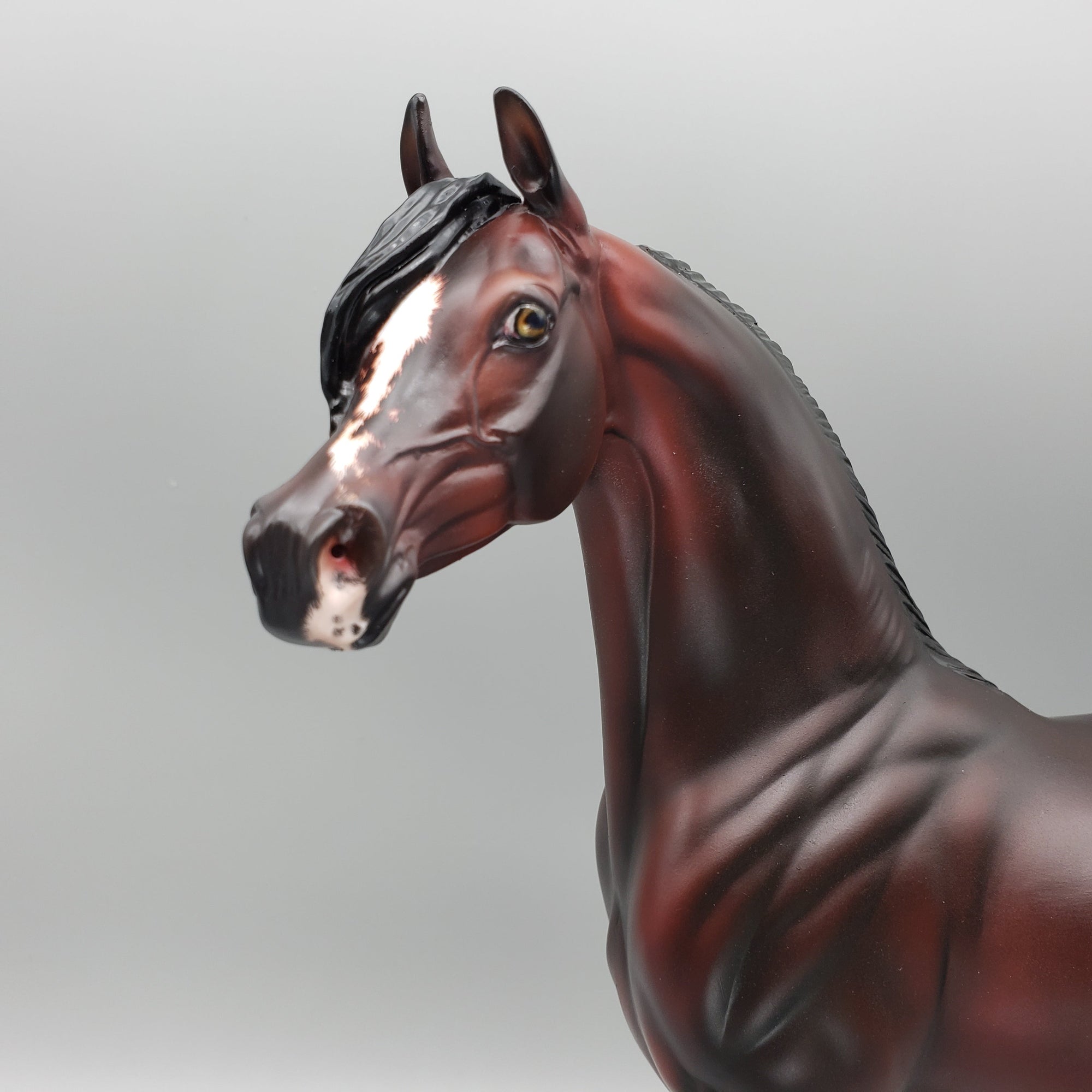 Koloth OOAK Blood Red Arabian By Ellen Robbins for AoTH23 Best Offers