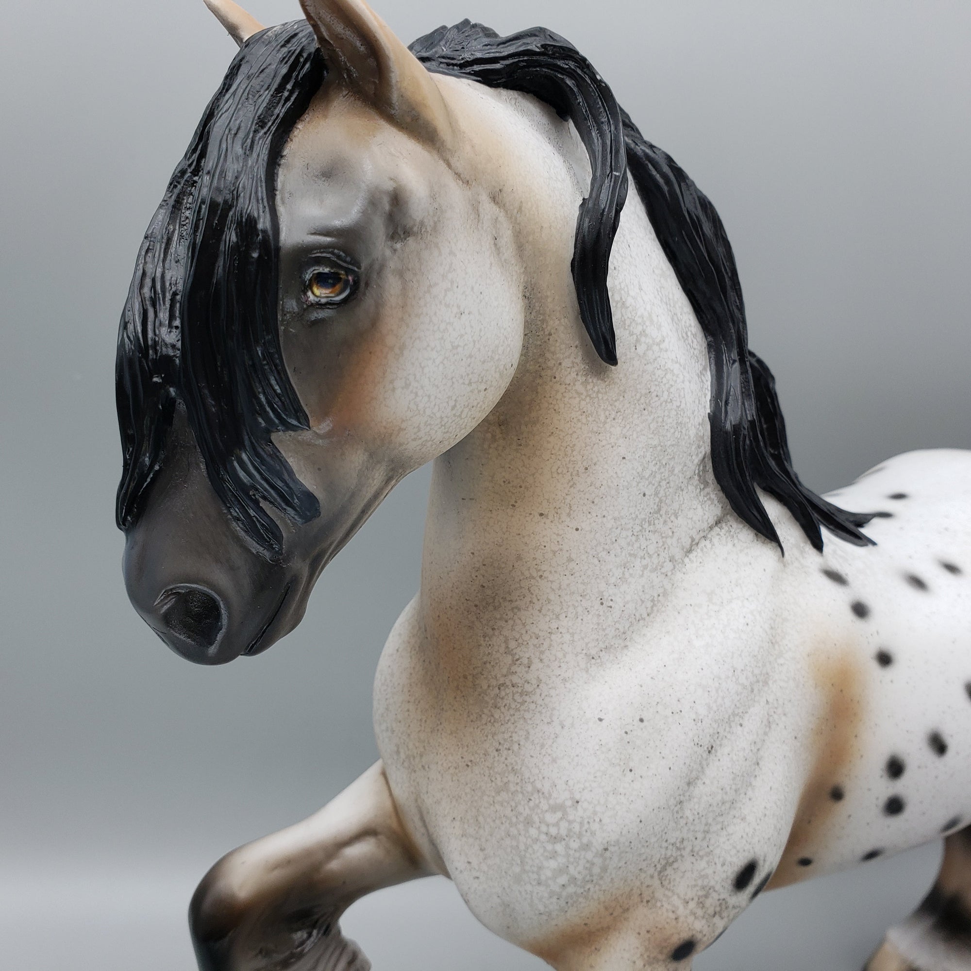 Dancer OOAK Buckskin Appaloosa Trotting Drafter By Dawn Quick for AoTH23 Best Offers