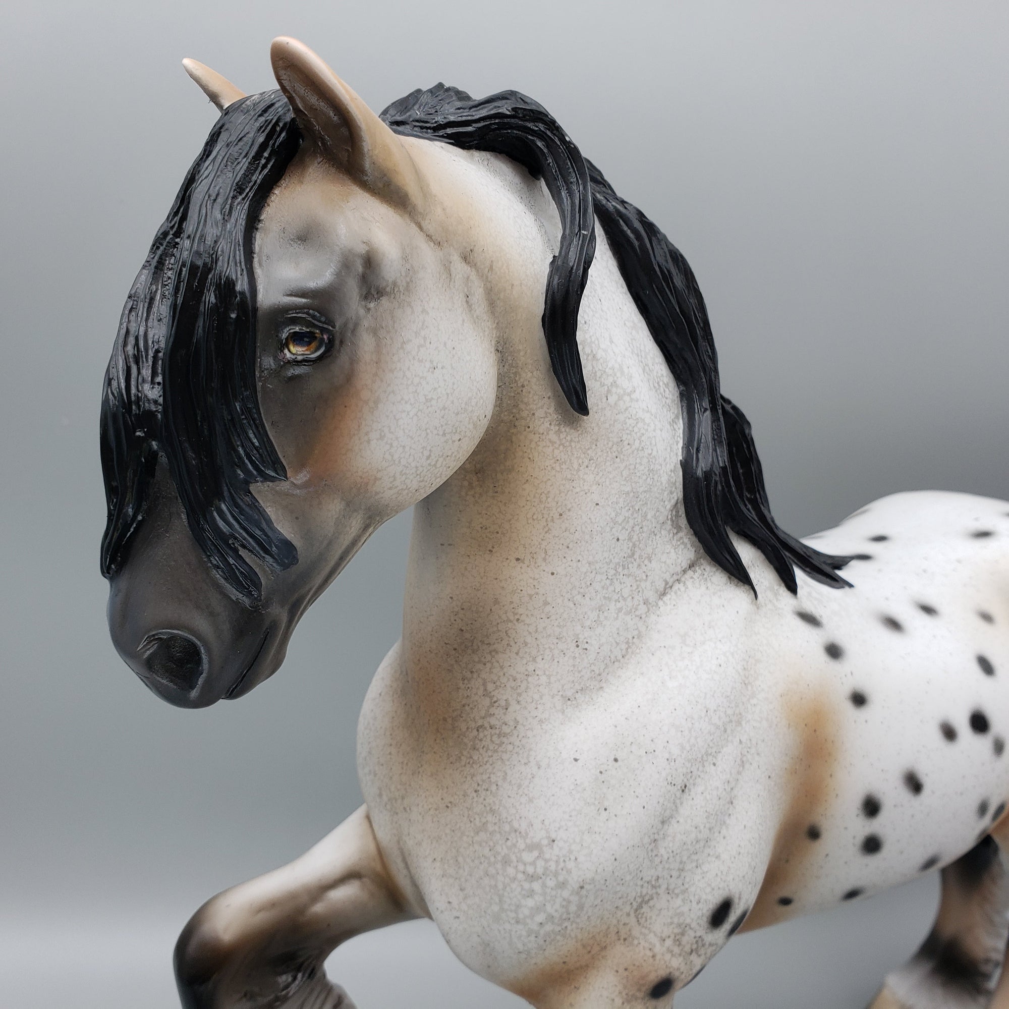 Dancer OOAK Buckskin Appaloosa Trotting Drafter By Dawn Quick for AoTH23 Best Offers