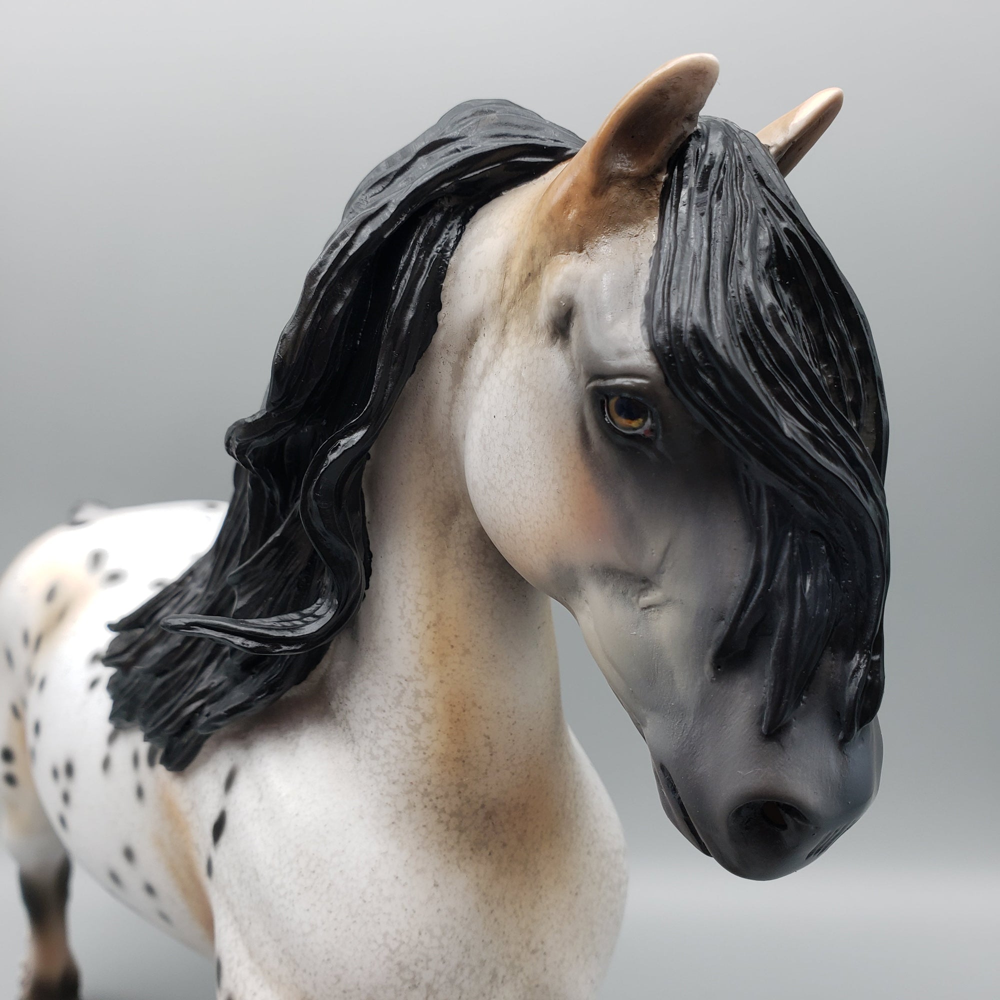 Dancer OOAK Buckskin Appaloosa Trotting Drafter By Dawn Quick for AoTH23 Best Offers