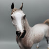 Gulzar OOAK Dappled Rose Grey Arabian By Sheryl Leisure for AoTH23 Best Offers