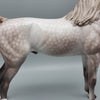 Gulzar OOAK Dappled Rose Grey Arabian By Sheryl Leisure for AoTH23 Best Offers