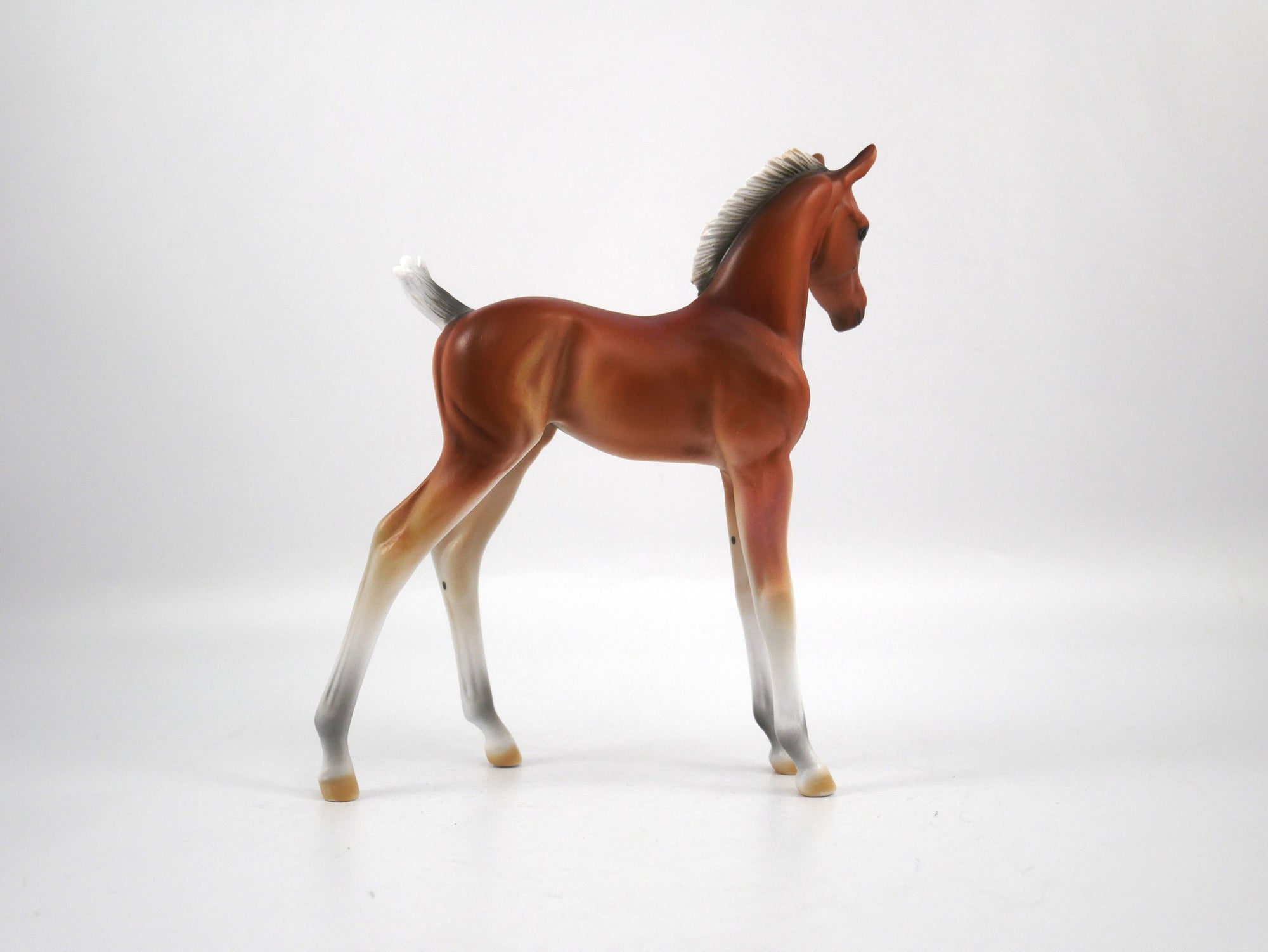 Punt-LE-15 Baby Bay Arabian Foal SB21