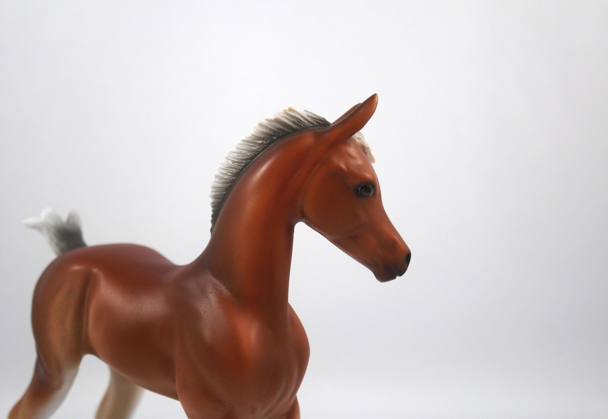 Punt-LE-15 Baby Bay Arabian Foal SB21