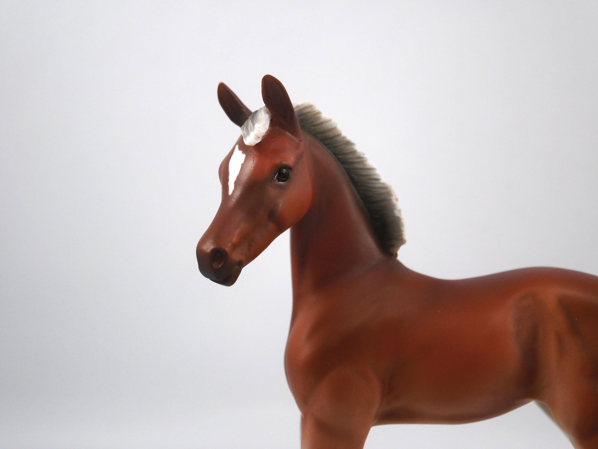 Punt-LE-15 Baby Bay Arabian Foal SB21