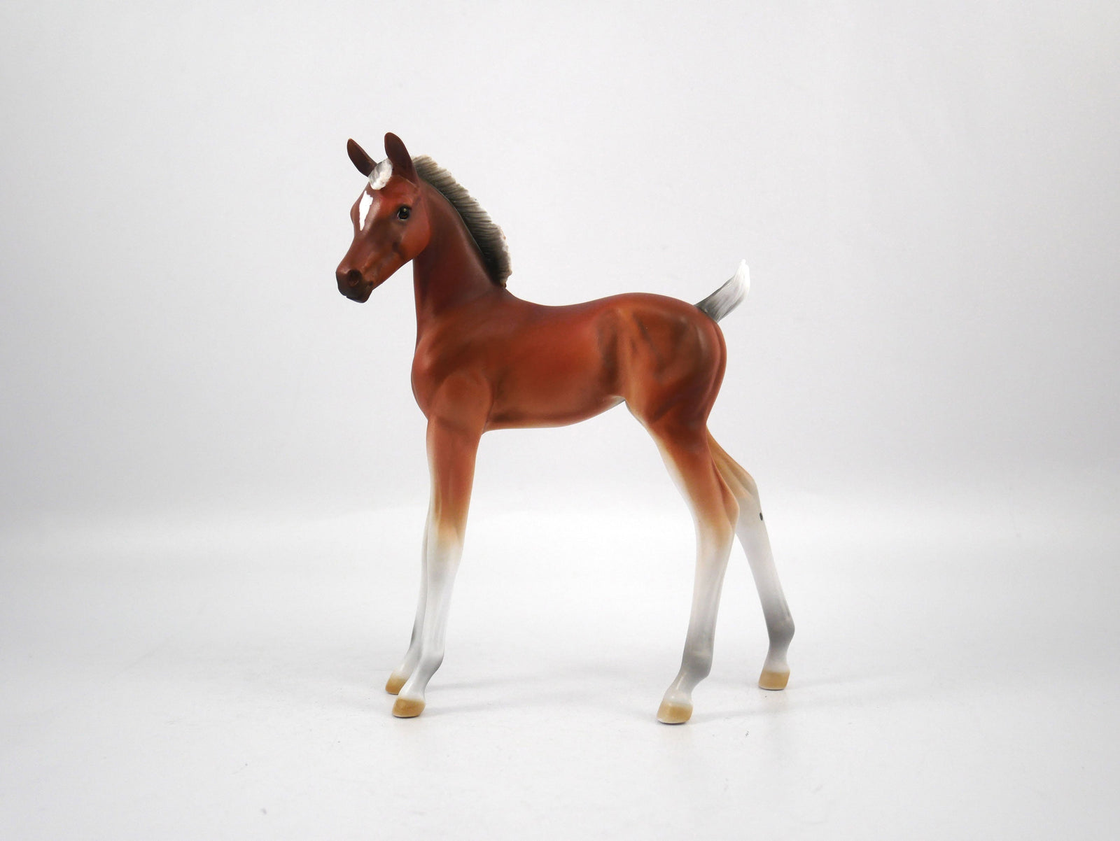 Punt-LE-15 Baby Bay Arabian Foal SB21