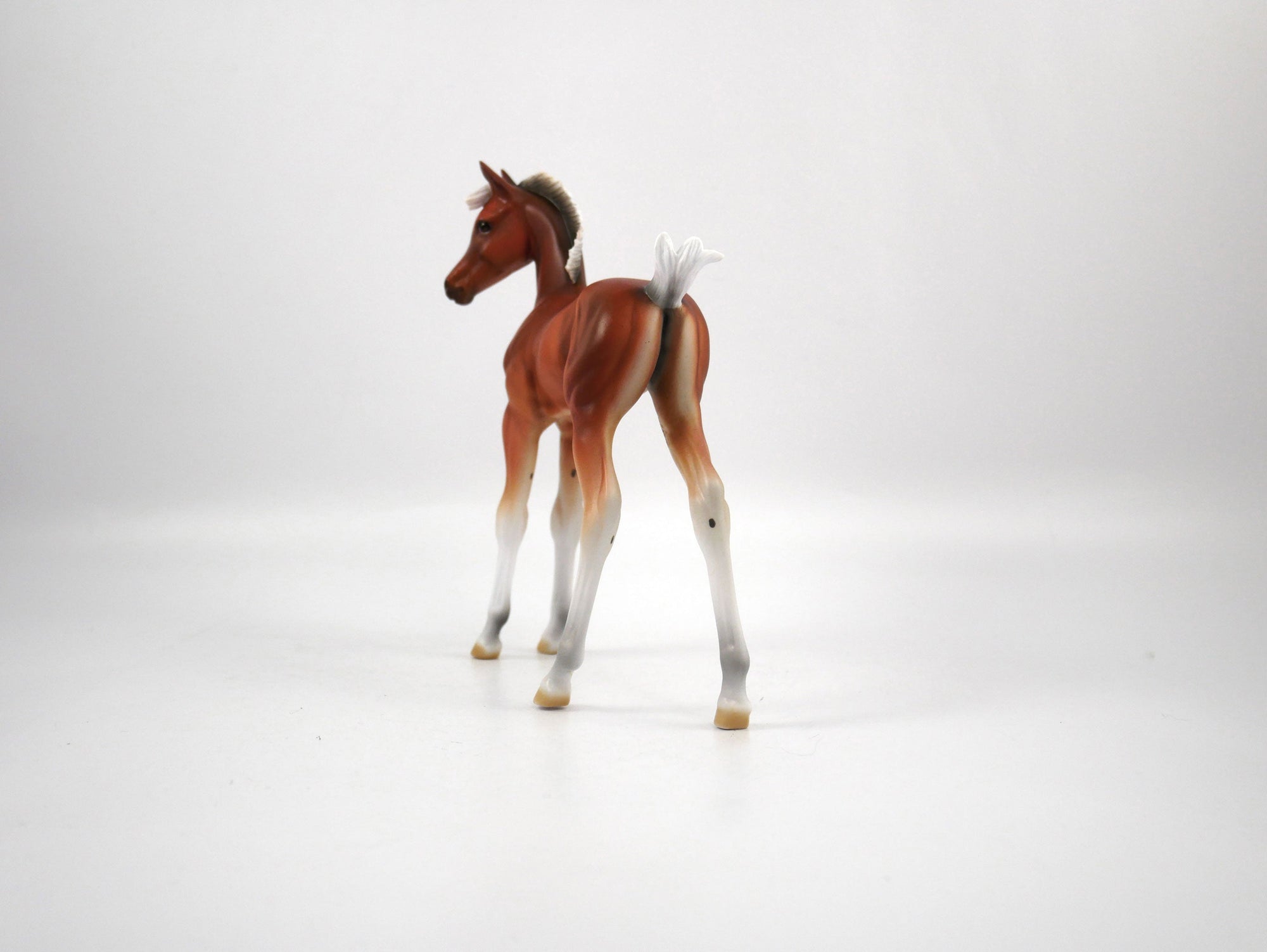 Punt-LE-15 Baby Bay Arabian Foal SB21