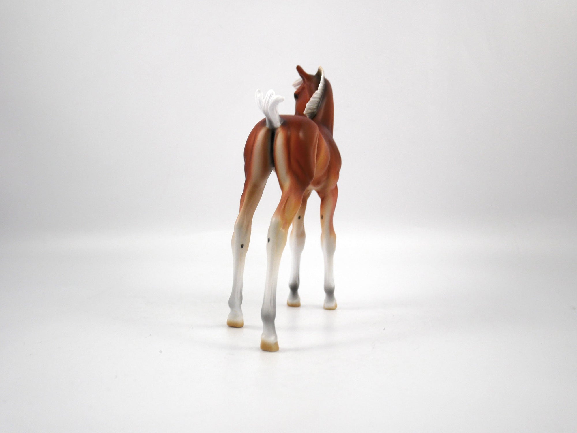 Punt-LE-15 Baby Bay Arabian Foal SB21
