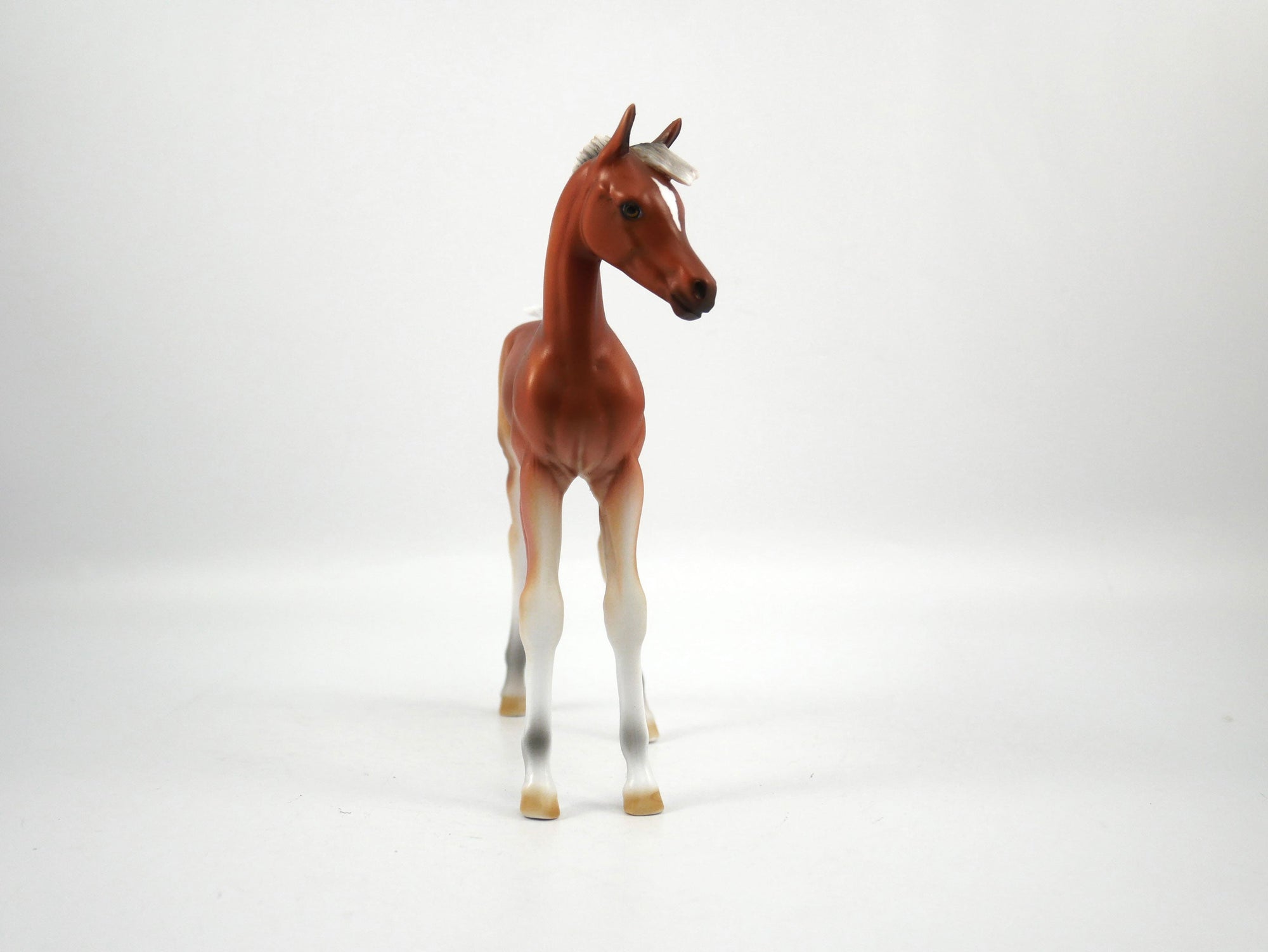 Punt-LE-15 Baby Bay Arabian Foal SB21