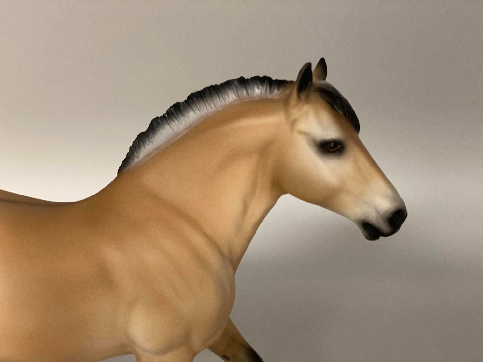 LOYALTY MEMBER PRE-ORDER SUNSET-LE-101 Sunset Trotting Pebbles Drafter EQ 2021