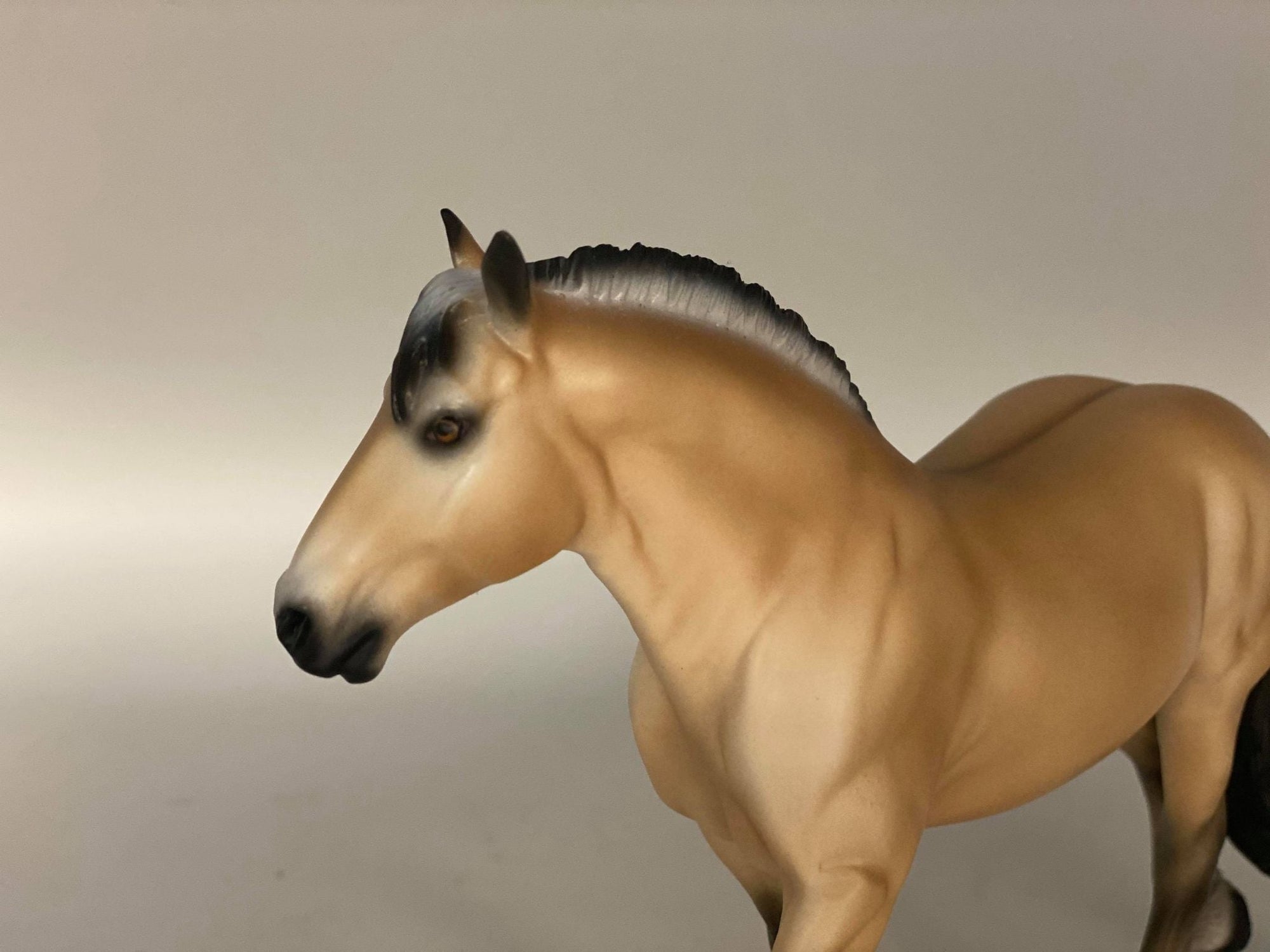 LOYALTY MEMBER PRE-ORDER SUNSET-LE-101 Sunset Trotting Pebbles Drafter EQ 2021