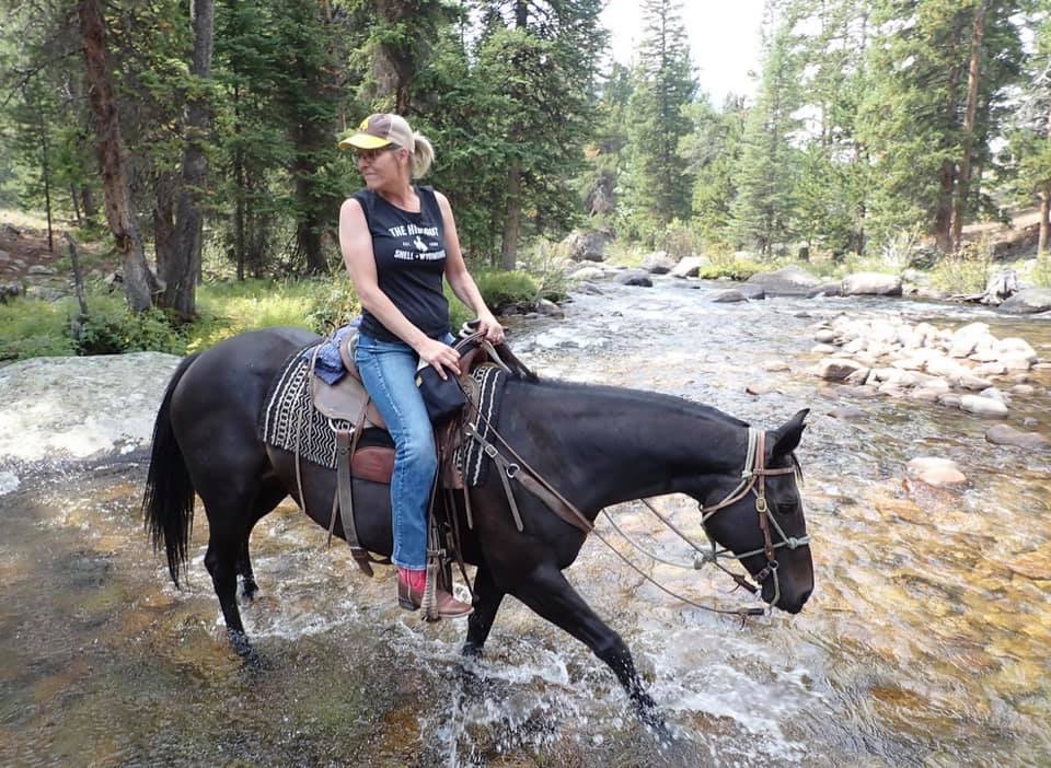 Mamacita -LE-30 Dapple Sunburnt Black Running Stock Horse Mare Painted By Julie Keim 9/17/21