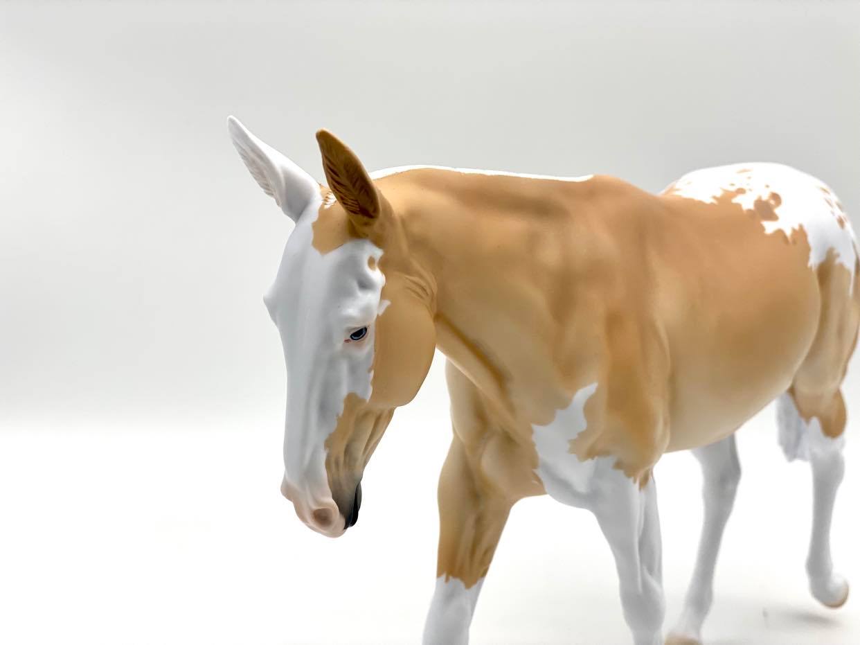 LOYALTY MEMEBERS !!!!!!!!! ONLY!!!!!!!!!!!! RELEASE - ECLIPSE MULE BLACK FRIDAY 2021