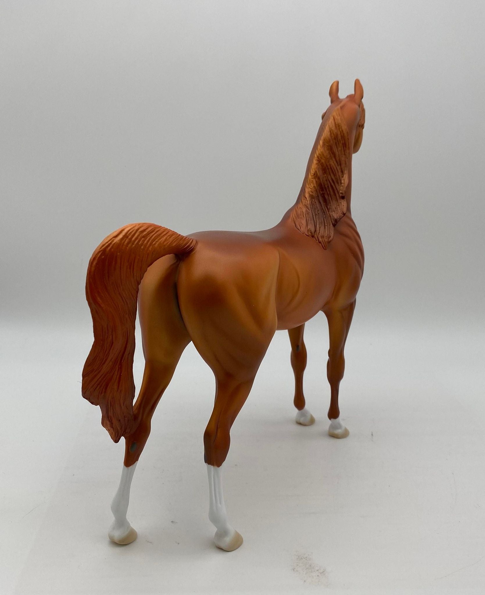 Malak-Chestnut Arabian Painted by Dawn Quick   7/22