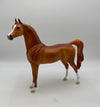 Malak-Chestnut Arabian Painted by Dawn Quick   7/22