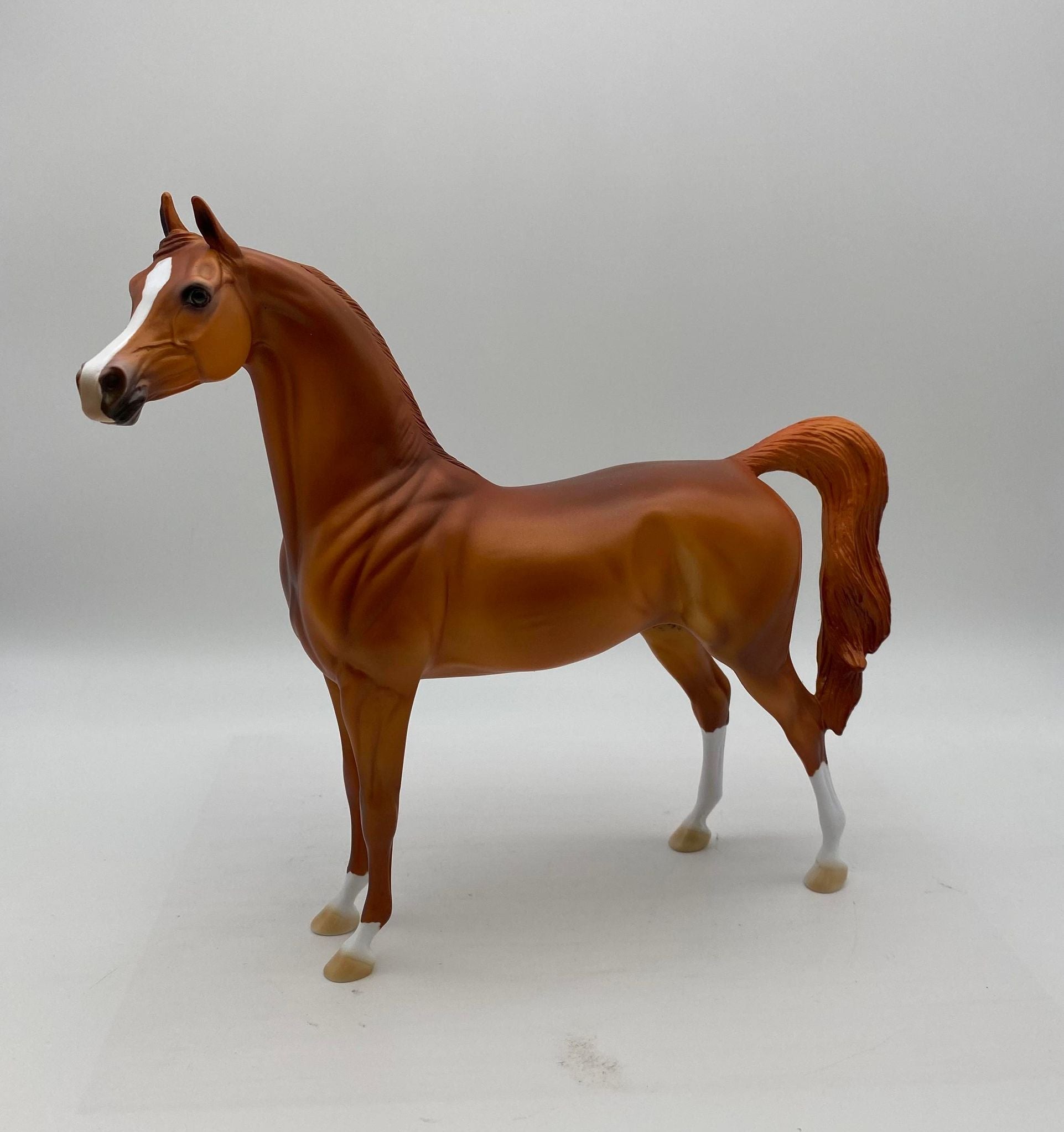 Malak-Chestnut Arabian Painted by Dawn Quick   7/22