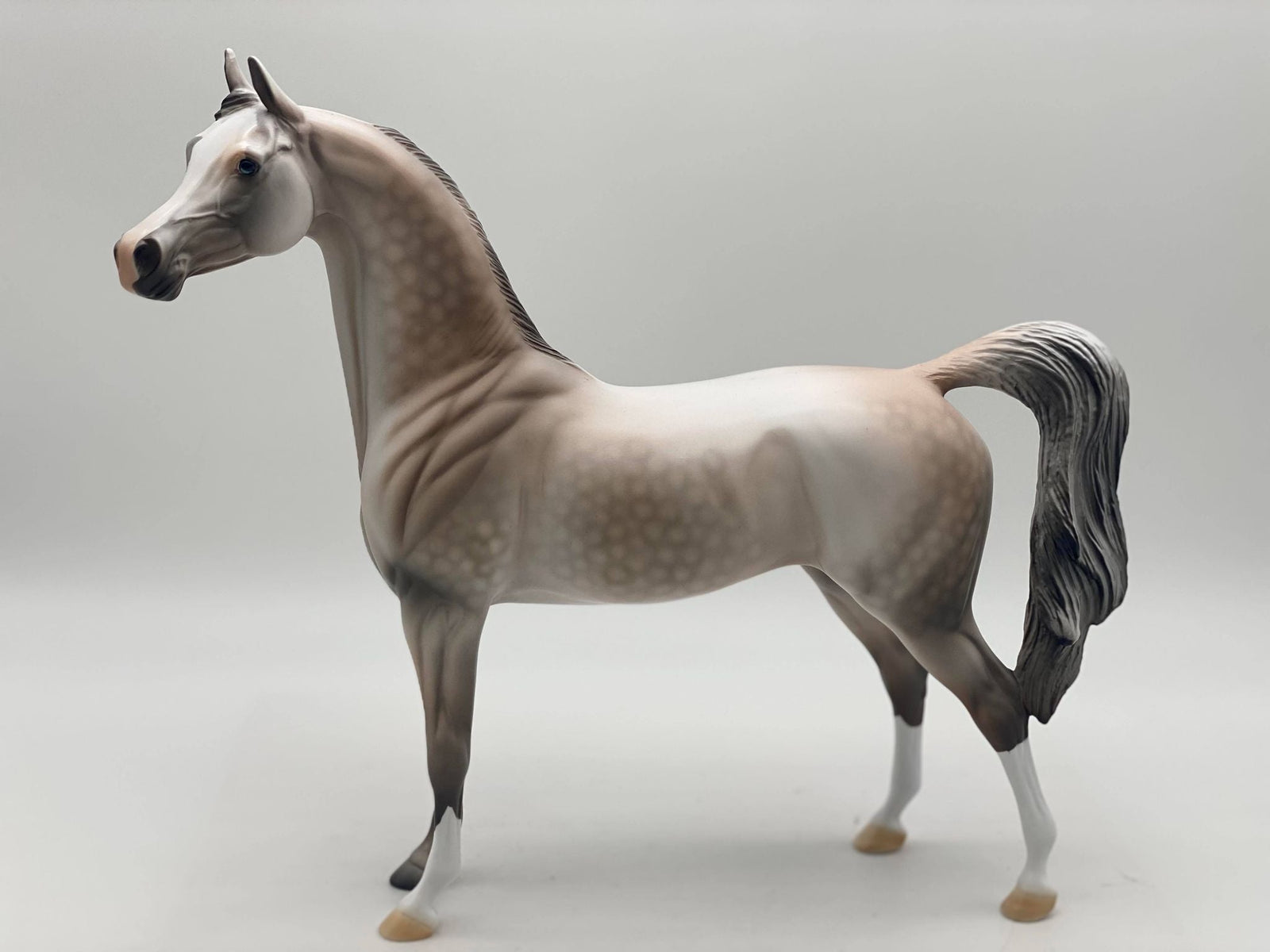 Marengo-OOAK Rose Grey Arabian Painted by Dawn Quick 7/28/22
