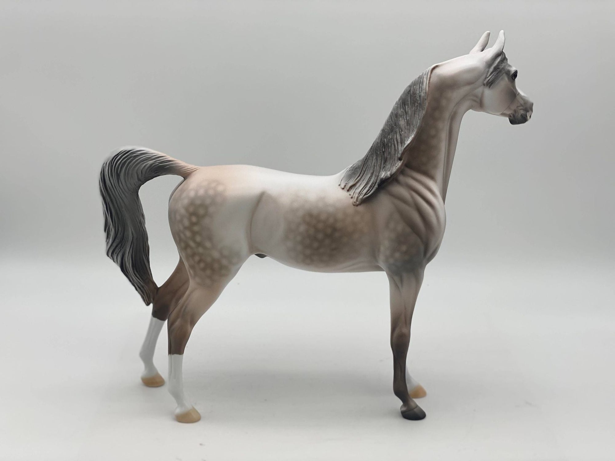 Marengo-OOAK Rose Grey Arabian Painted by Dawn Quick 7/28/22