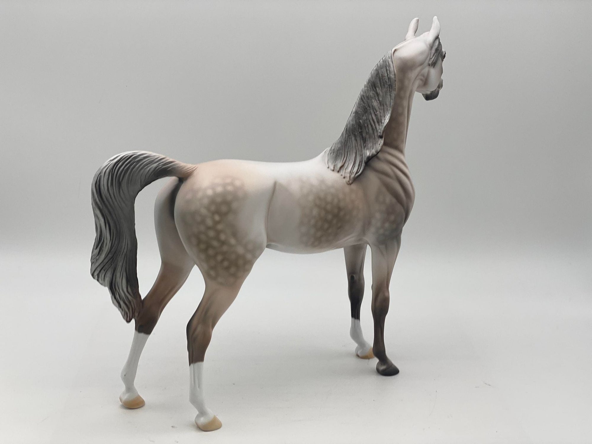 Marengo-OOAK Rose Grey Arabian Painted by Dawn Quick 7/28/22