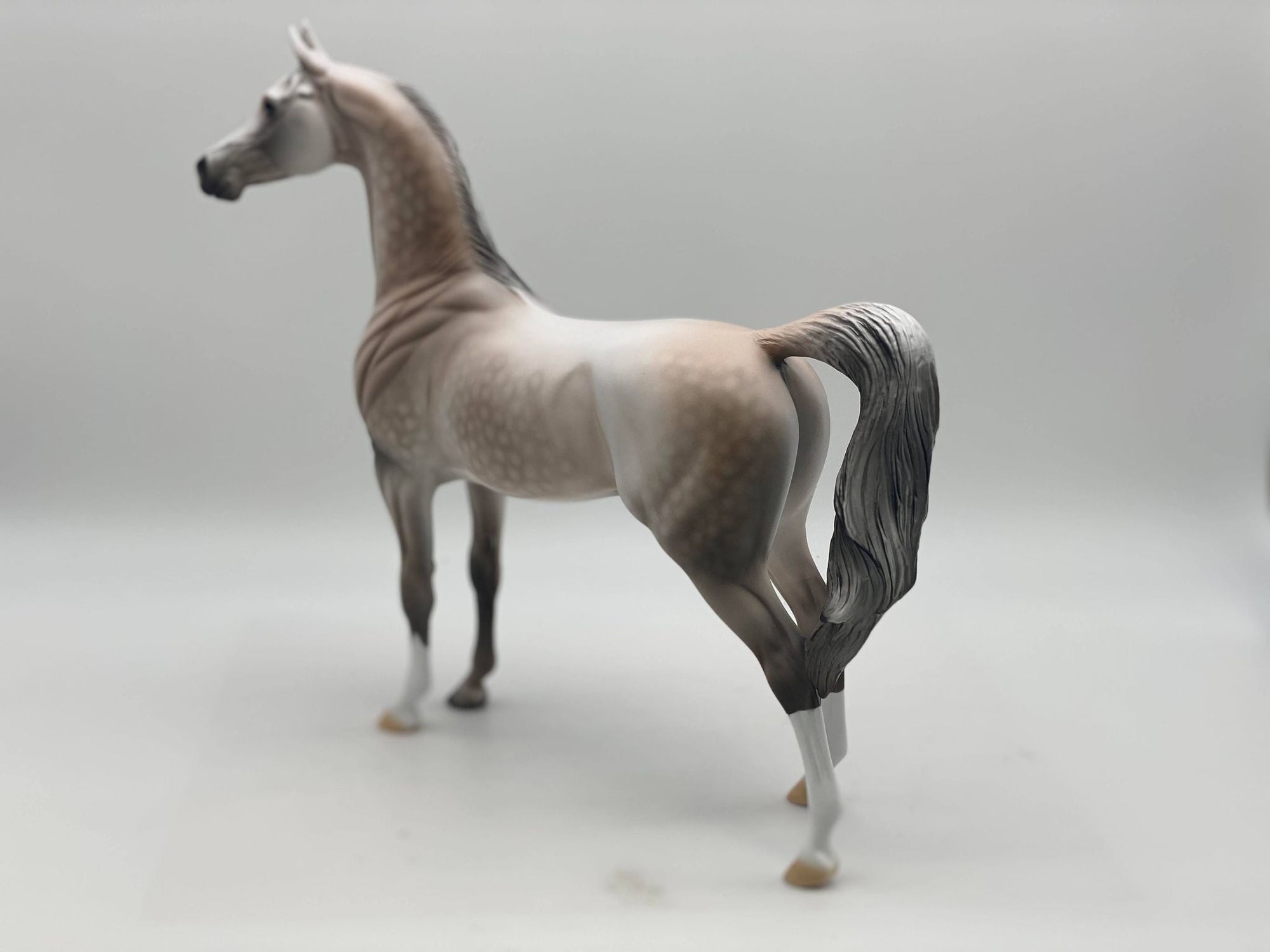 Marengo-OOAK Rose Grey Arabian Painted by Dawn Quick 7/28/22