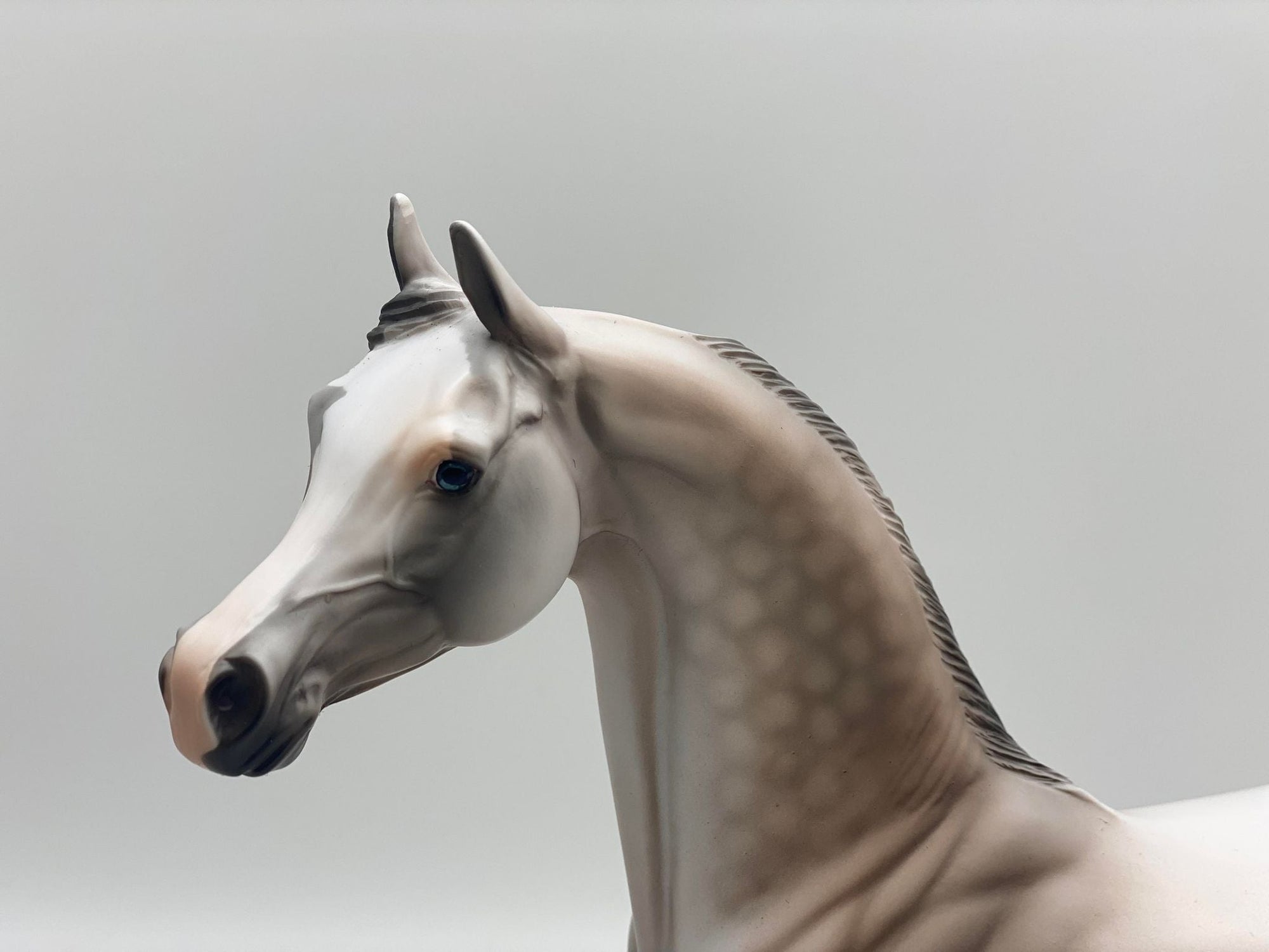 Marengo-OOAK Rose Grey Arabian Painted by Dawn Quick 7/28/22