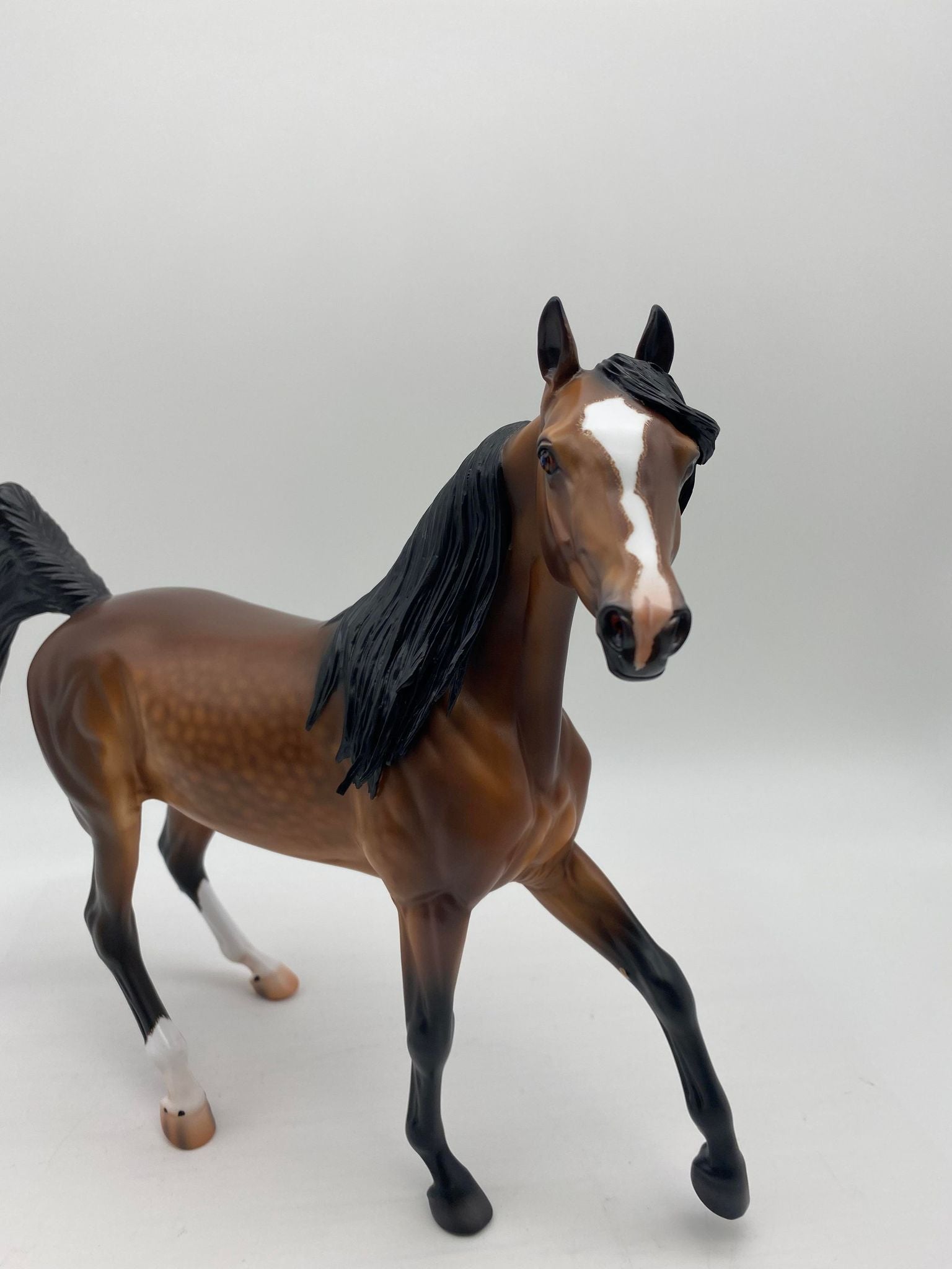 Salisbury-OOAK Dapple Bay Arabian Painted by Caroline Boydston 8/1/22