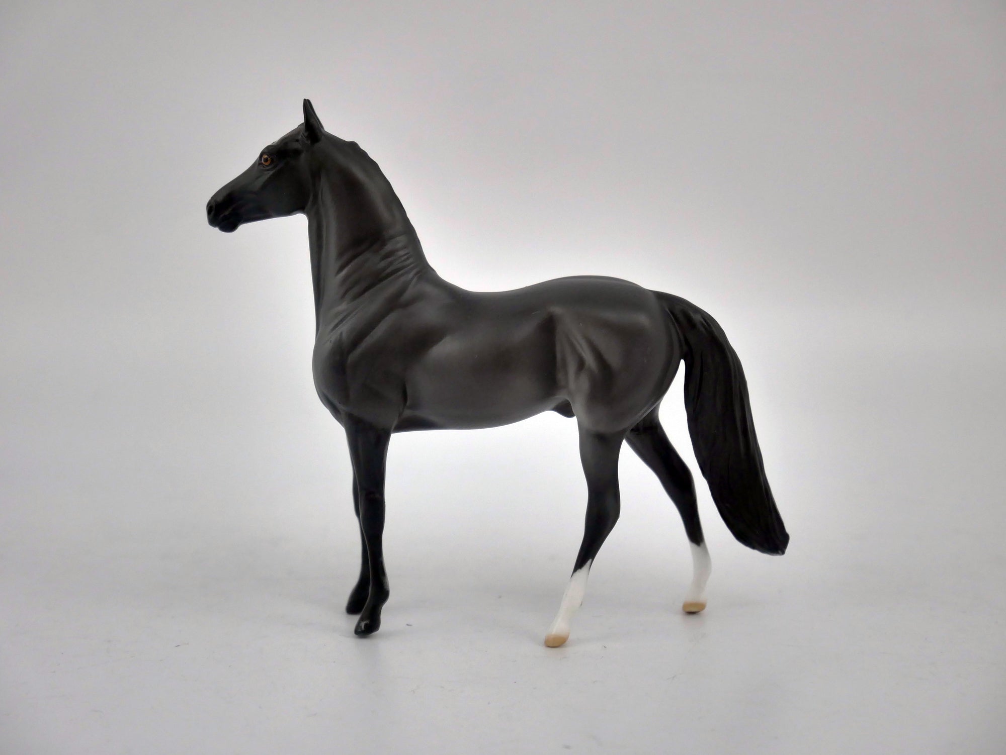 EQUILOCITY 2020 GRAB BAGS