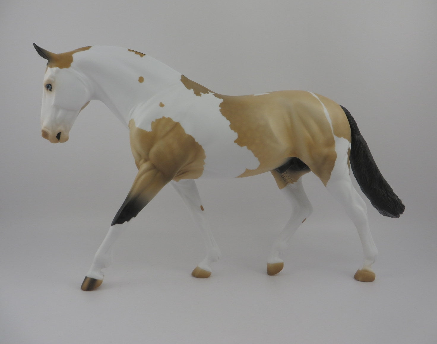 Jacques-OOAK Dapple Buckskin Paint Irish Draft EQ 2020