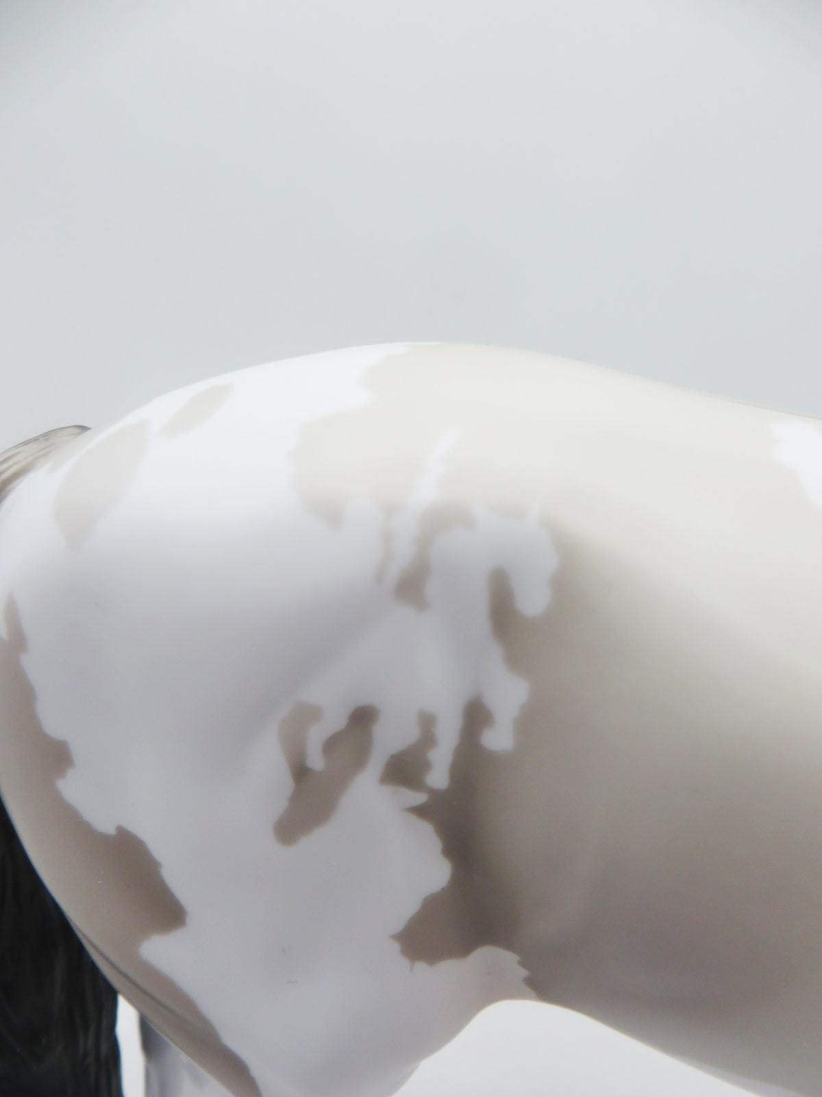 Don Quixote - LE 30 - Grulla Pinto Andalusian By Ellen Robbins Classic Literature Series 2023 CL23