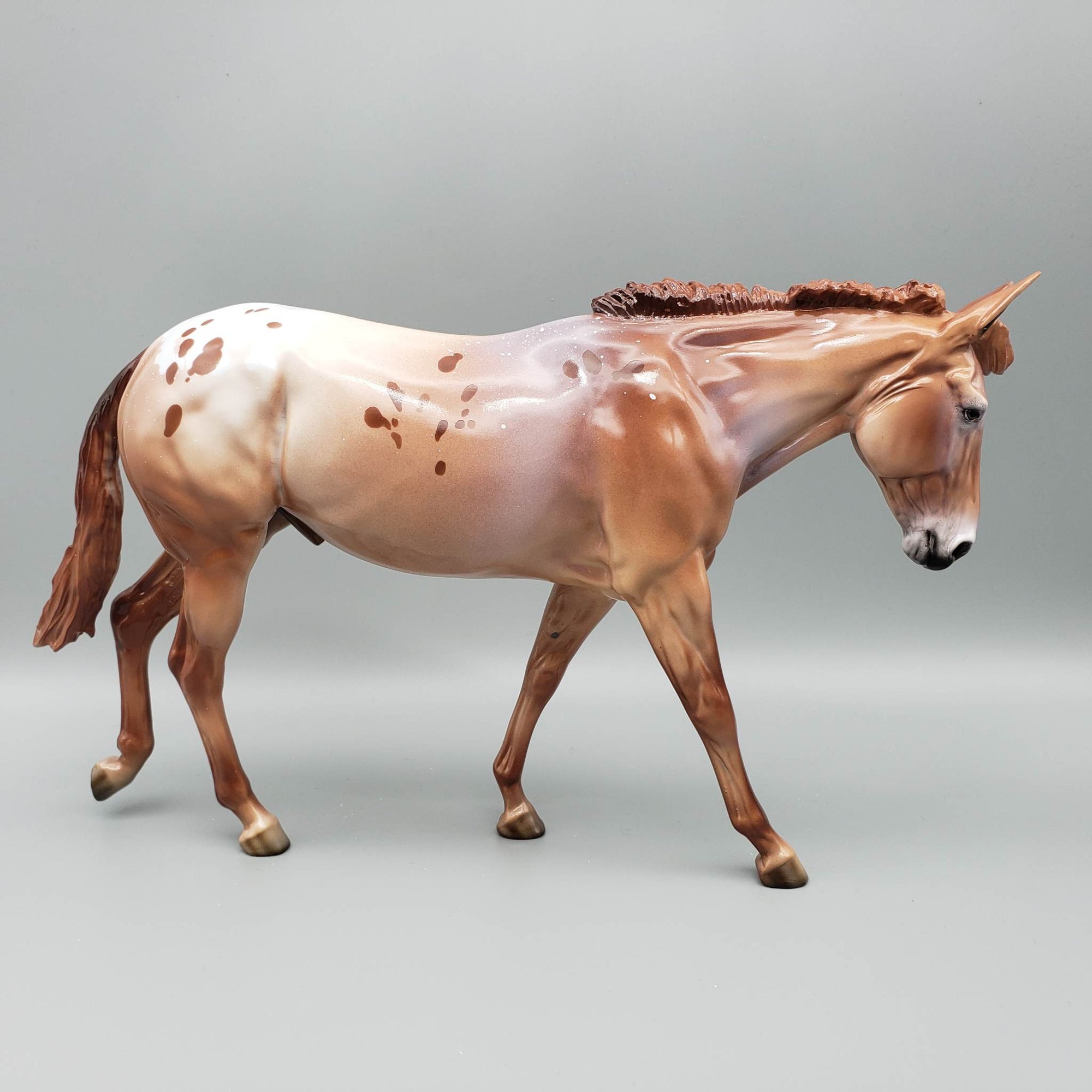 Alfalfa - LE30 - Chestnut Appaloosa Mule By Dawn Quick EQ23