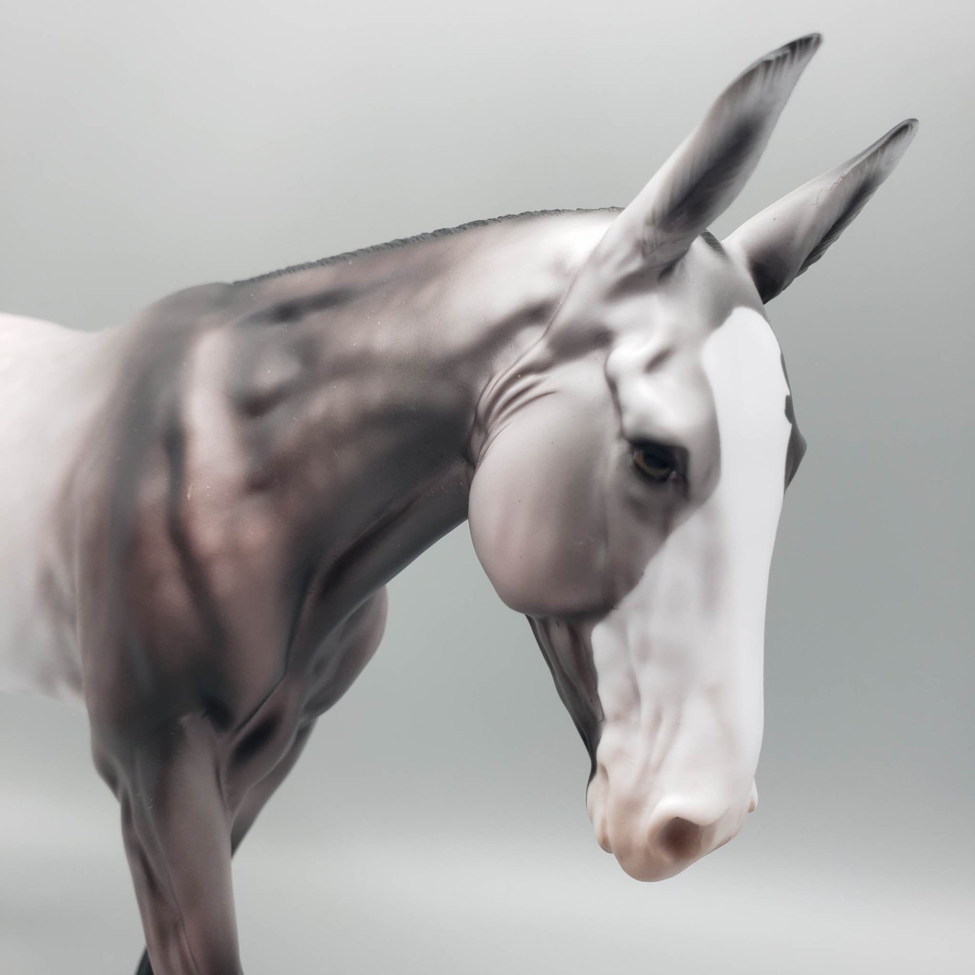 Ally - OOAK - Dapple Rose Grey Mule by Dawn Quick EQ23