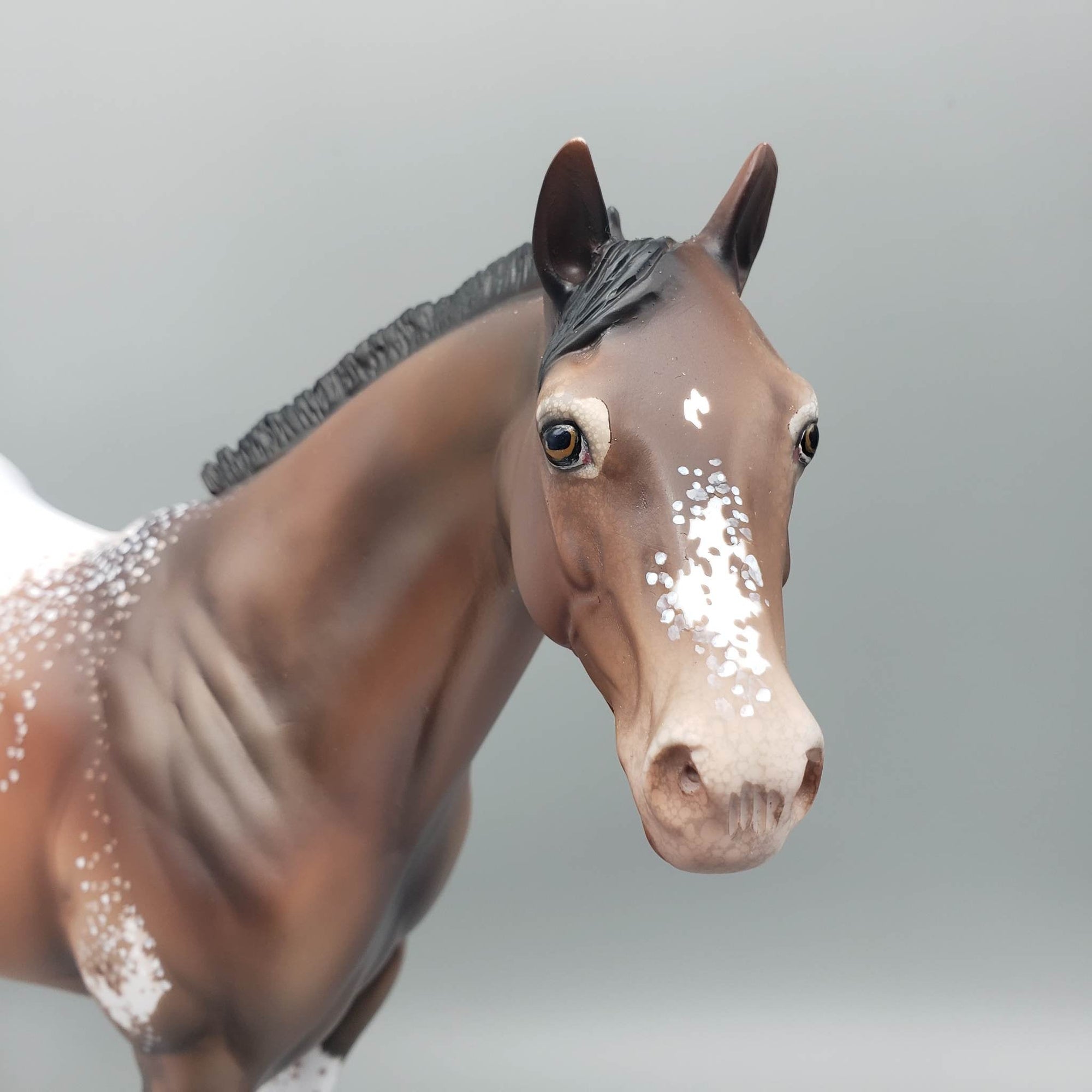 Ansel - OOAK - Customized Bay Snowcap Appaloosa Ideal Stock Horse by Dawn Quick EQ23