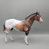 Ansel - OOAK - Customized Bay Snowcap Appaloosa Ideal Stock Horse by Dawn Quick EQ23