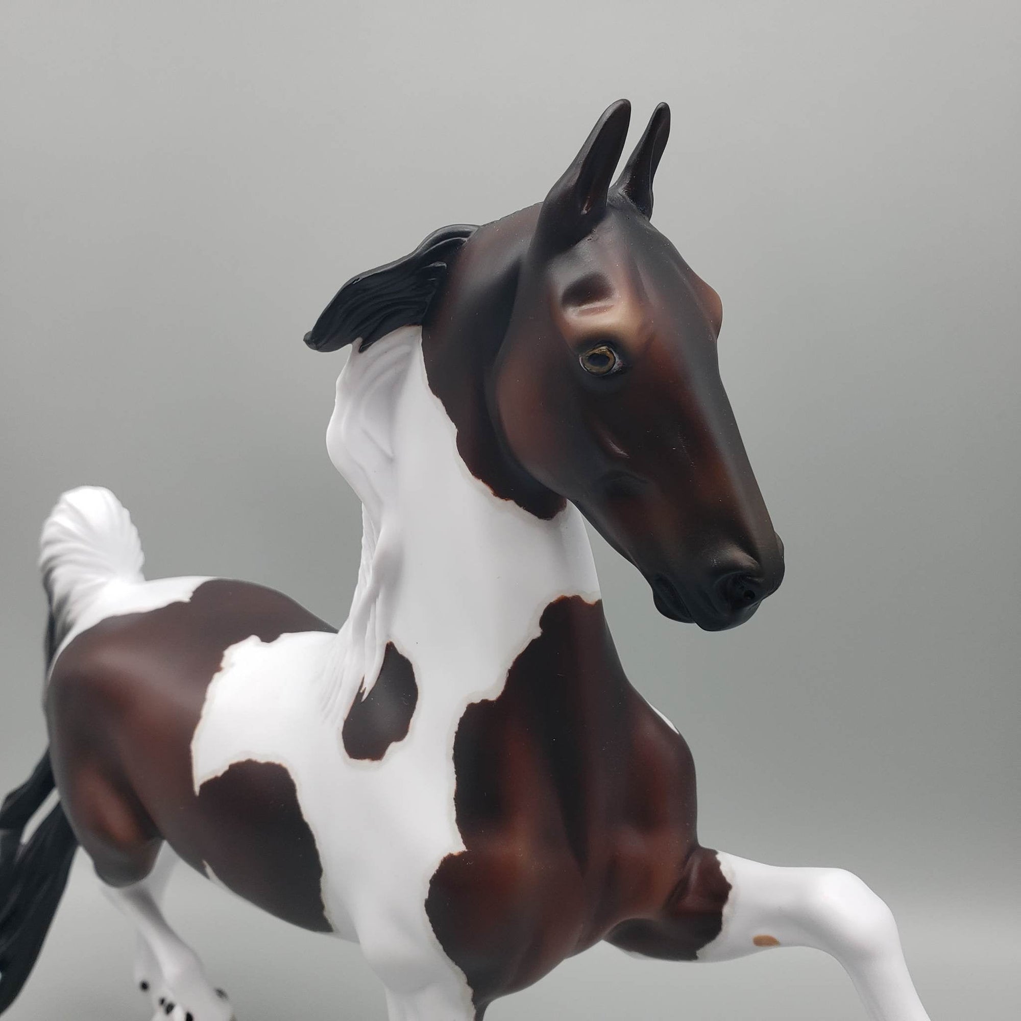 Jerren - OOAK - Bay Tobiano Saddlebred By Jess Hamill EQ23