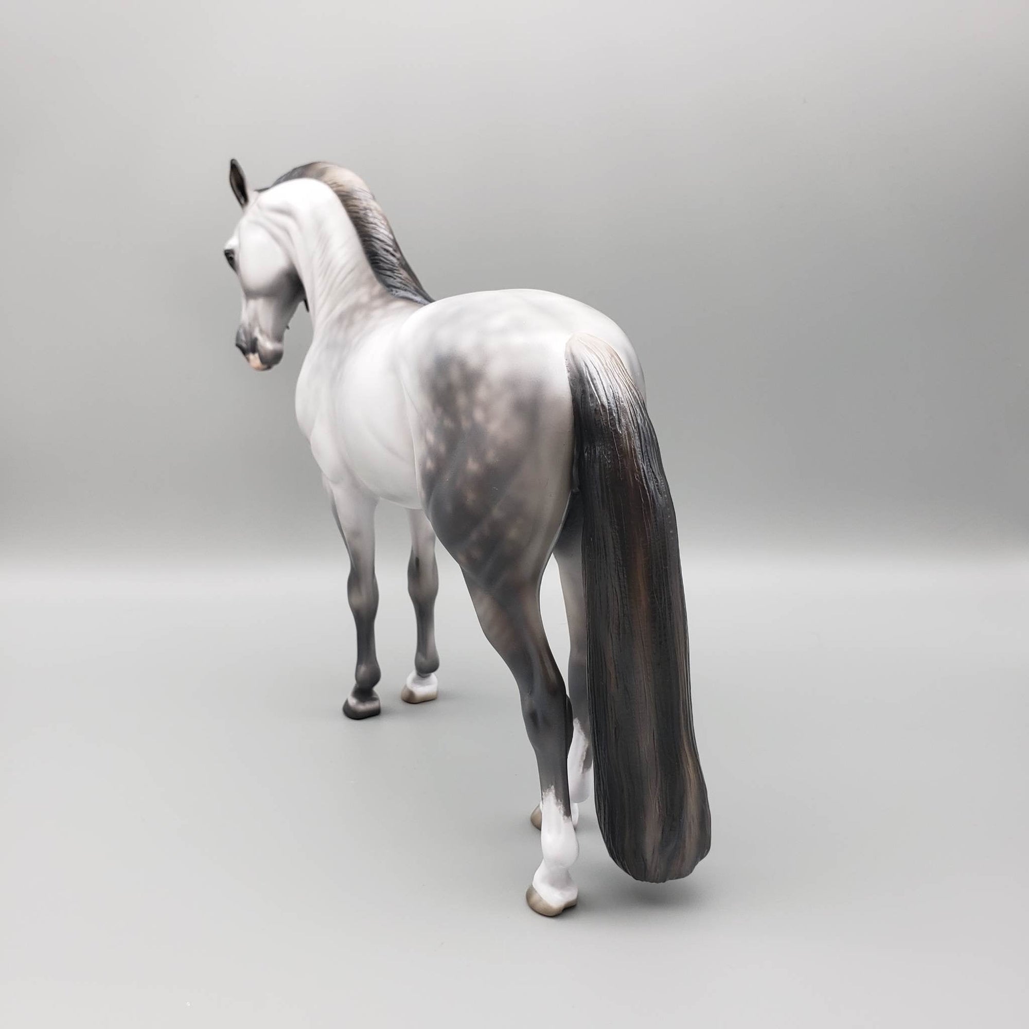 Archivolt OOAK Dapple Grey Andalusian By Jess Hamill  Best Offers 6/19/23