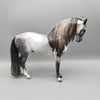 Archivolt OOAK Dapple Grey Andalusian By Jess Hamill  Best Offers 6/19/23