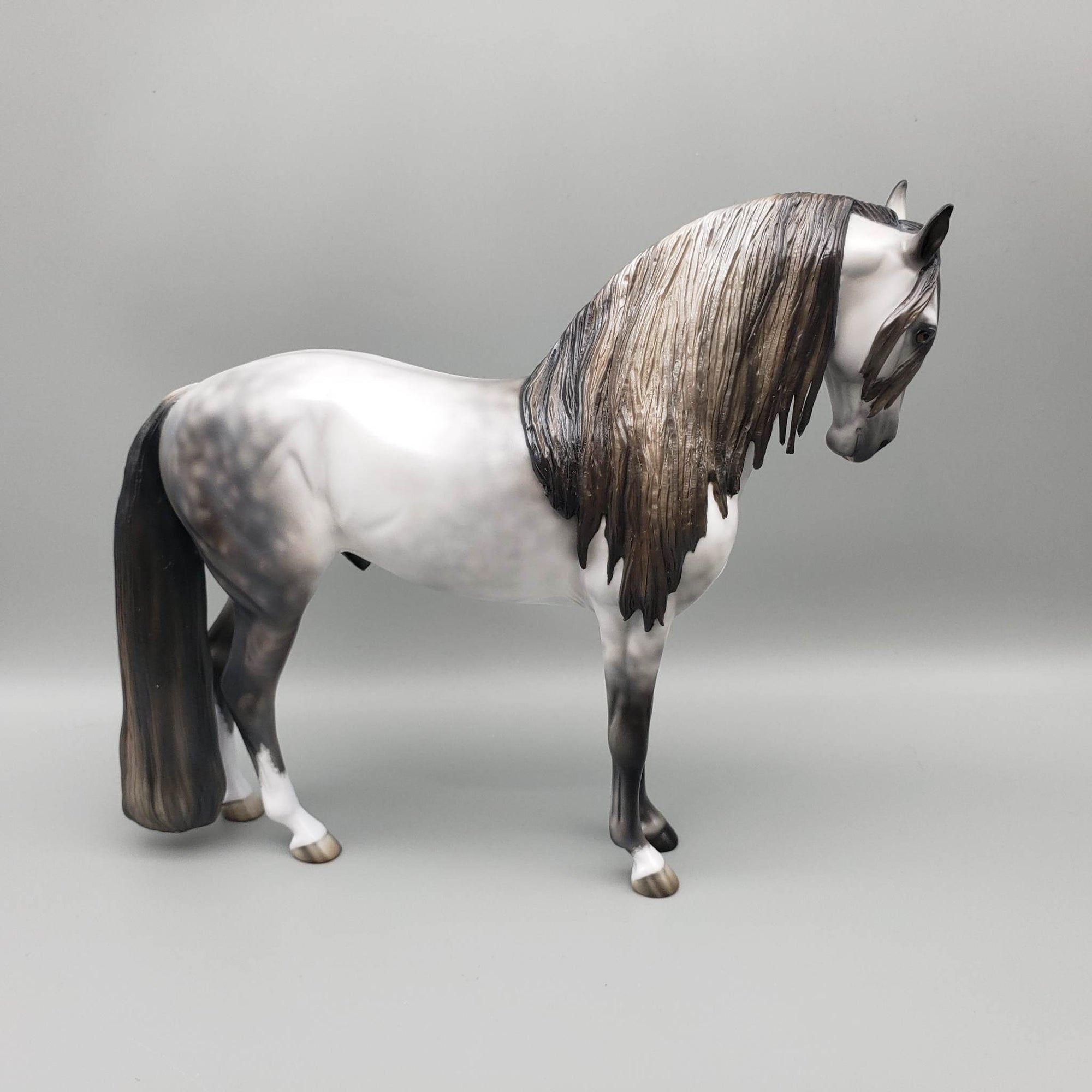 Archivolt OOAK Dapple Grey Andalusian By Jess Hamill  Best Offers 6/19/23