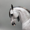 Archivolt OOAK Dapple Grey Andalusian By Jess Hamill  Best Offers 6/19/23