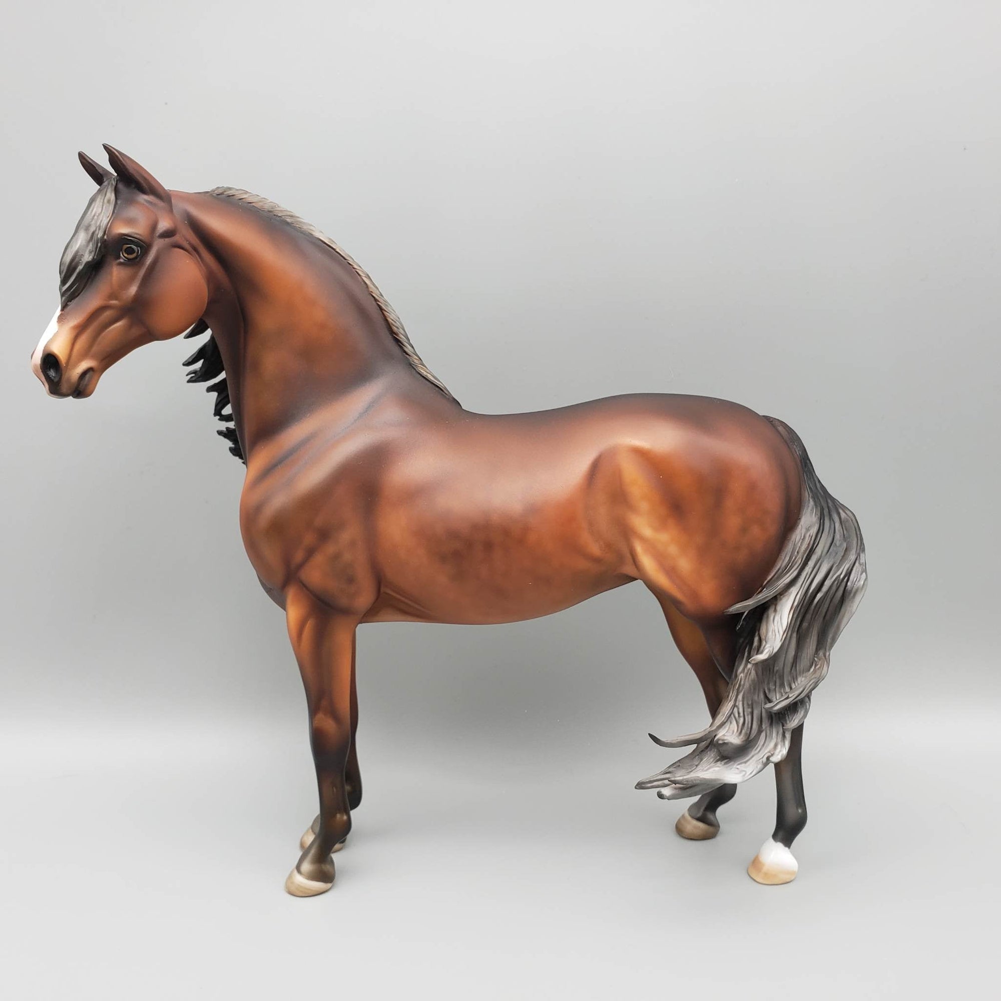 Cooper - OOAK Dapple Bay Going Grey Morgan By Julie Keim Best Offers 6/19/23