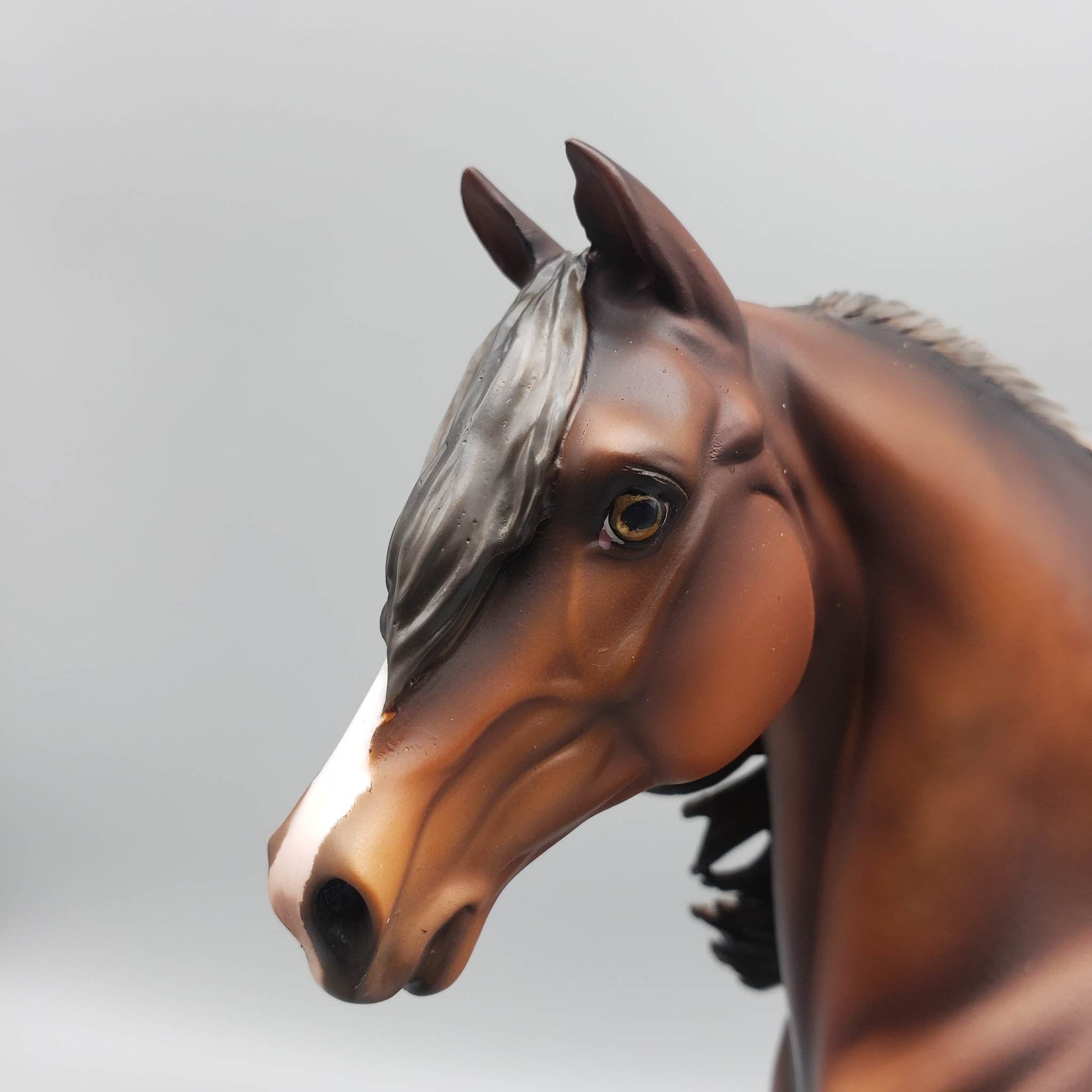 Cooper - OOAK Dapple Bay Going Grey Morgan By Julie Keim Best Offers 6/19/23