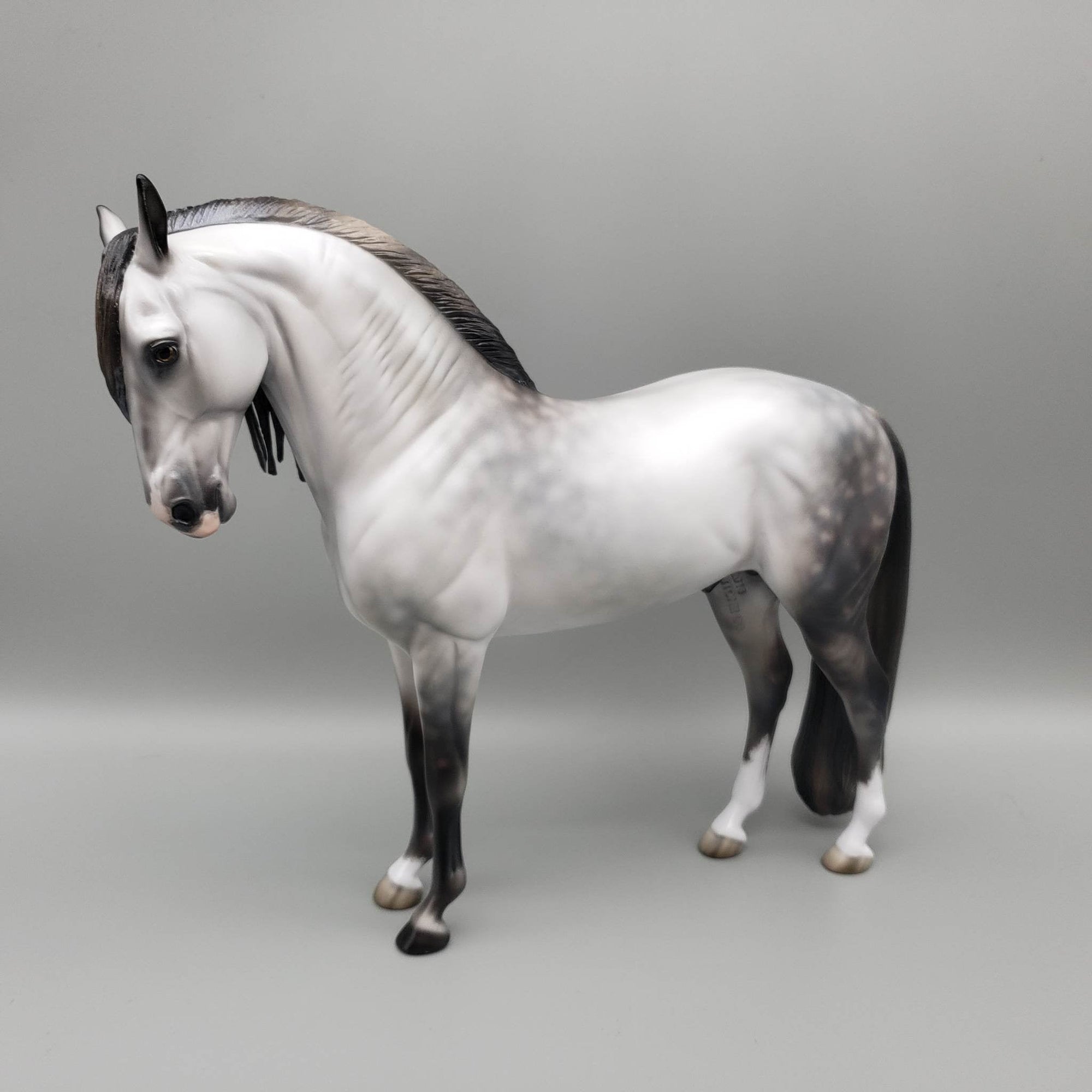 Archivolt OOAK Dapple Grey Andalusian By Jess Hamill  Best Offers 6/19/23