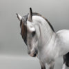Archivolt OOAK Dapple Grey Andalusian By Jess Hamill  Best Offers 6/19/23