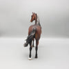 Cooper - OOAK Dapple Bay Going Grey Morgan By Julie Keim Best Offers 6/19/23
