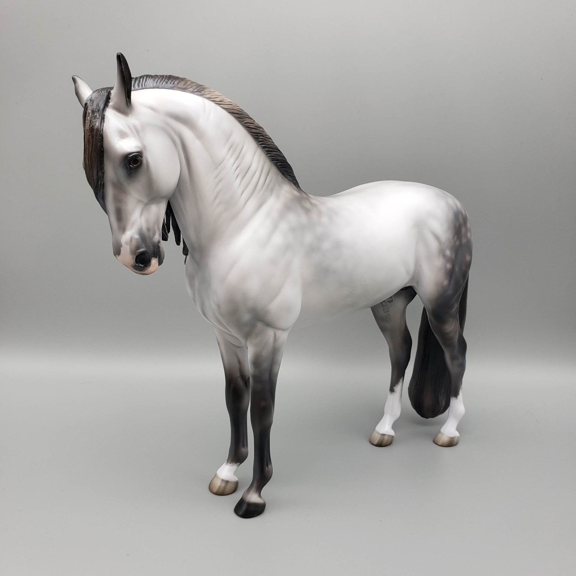 Archivolt OOAK Dapple Grey Andalusian By Jess Hamill  Best Offers 6/19/23