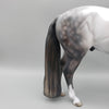 Archivolt OOAK Dapple Grey Andalusian By Jess Hamill  Best Offers 6/19/23