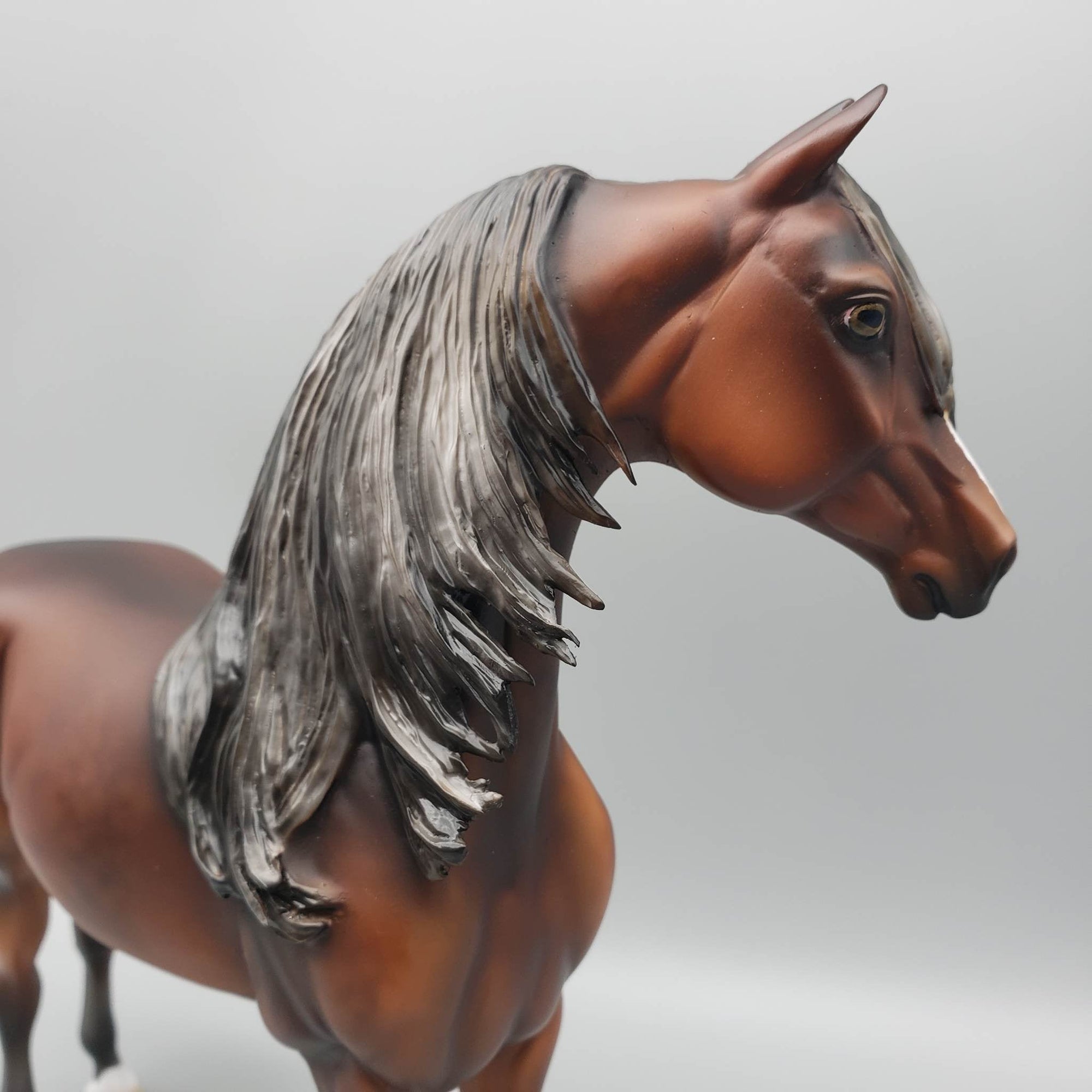 Cooper - OOAK Dapple Bay Going Grey Morgan By Julie Keim Best Offers 6/19/23