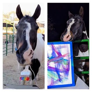 Kokomo Bay Tobiano Custom Ideal Stock Horse with Paint Splashes by Ashley Palmer and Ellen Robbins